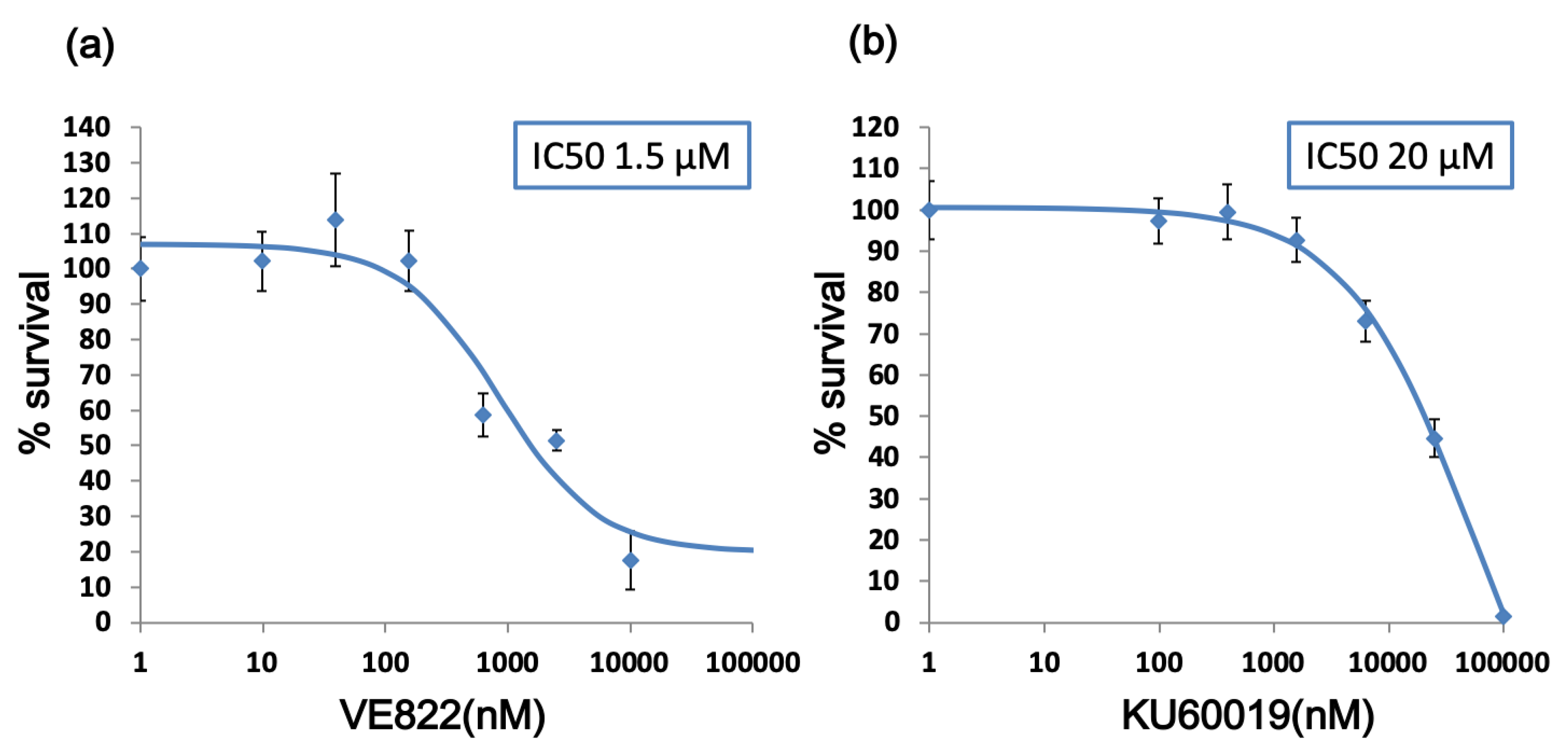 Cancers 11 01913 g001