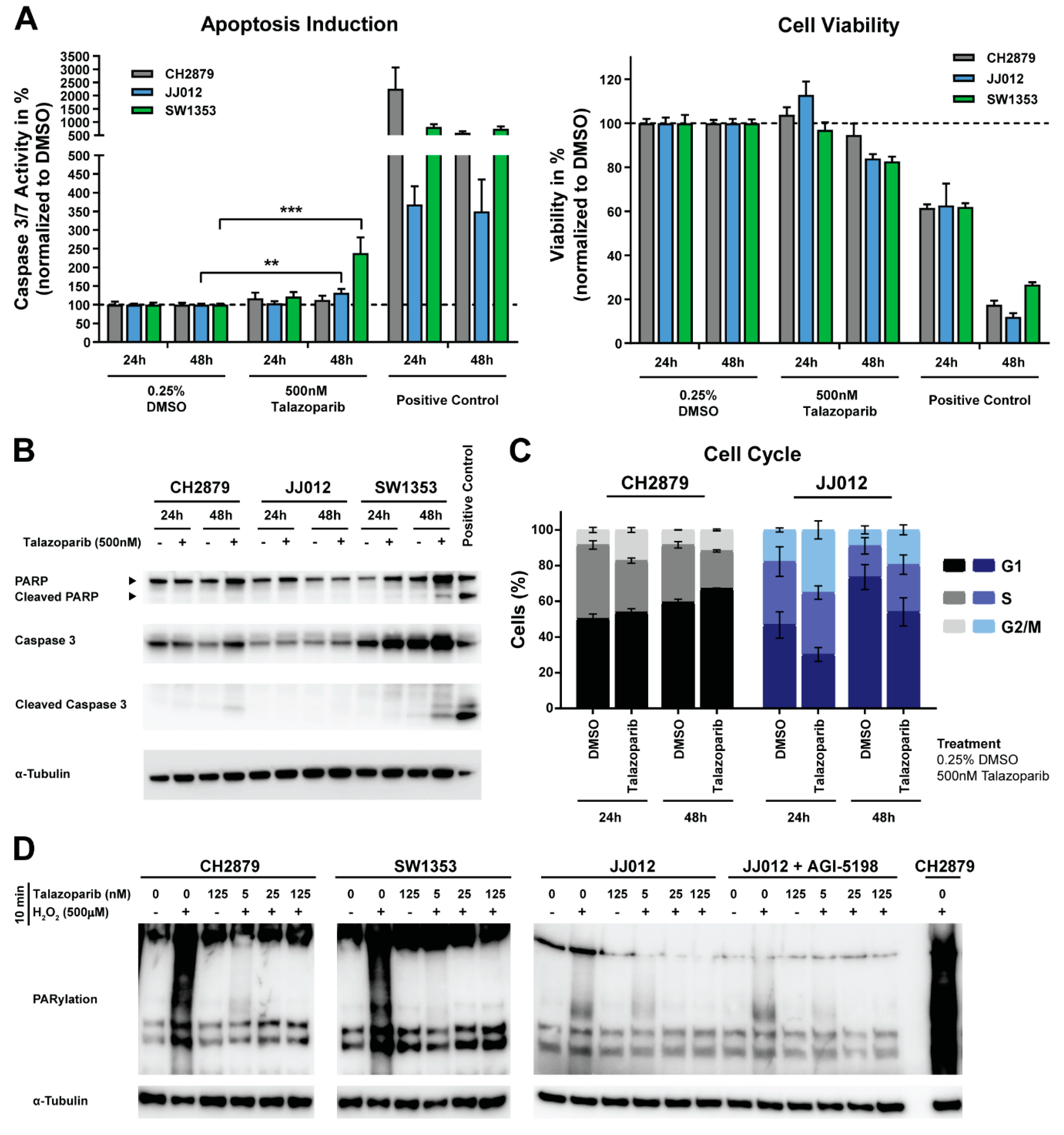 Cancers 11 01918 g002 Cancers 11 01918 g002