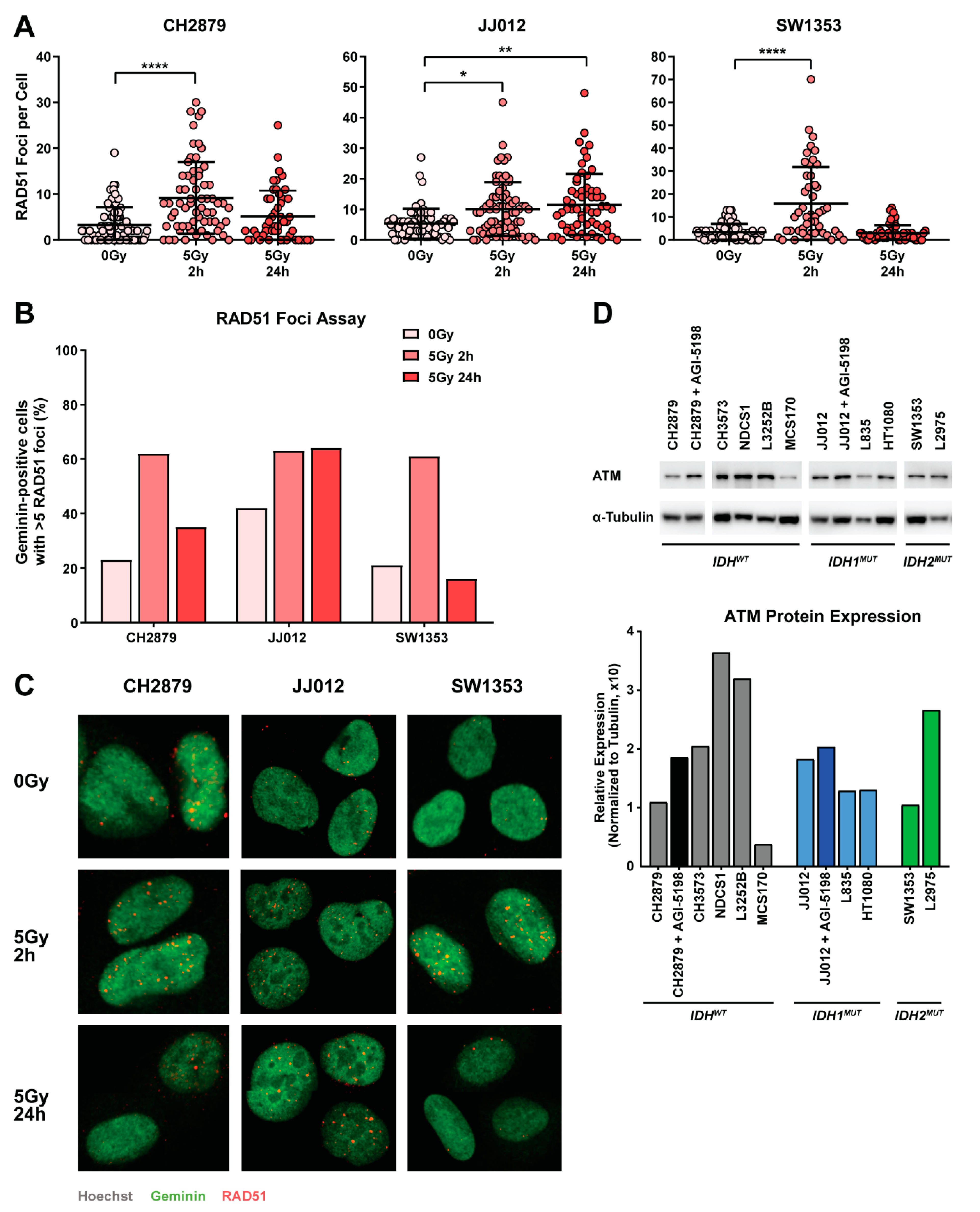 Cancers 11 01918 g003 Cancers 11 01918 g003