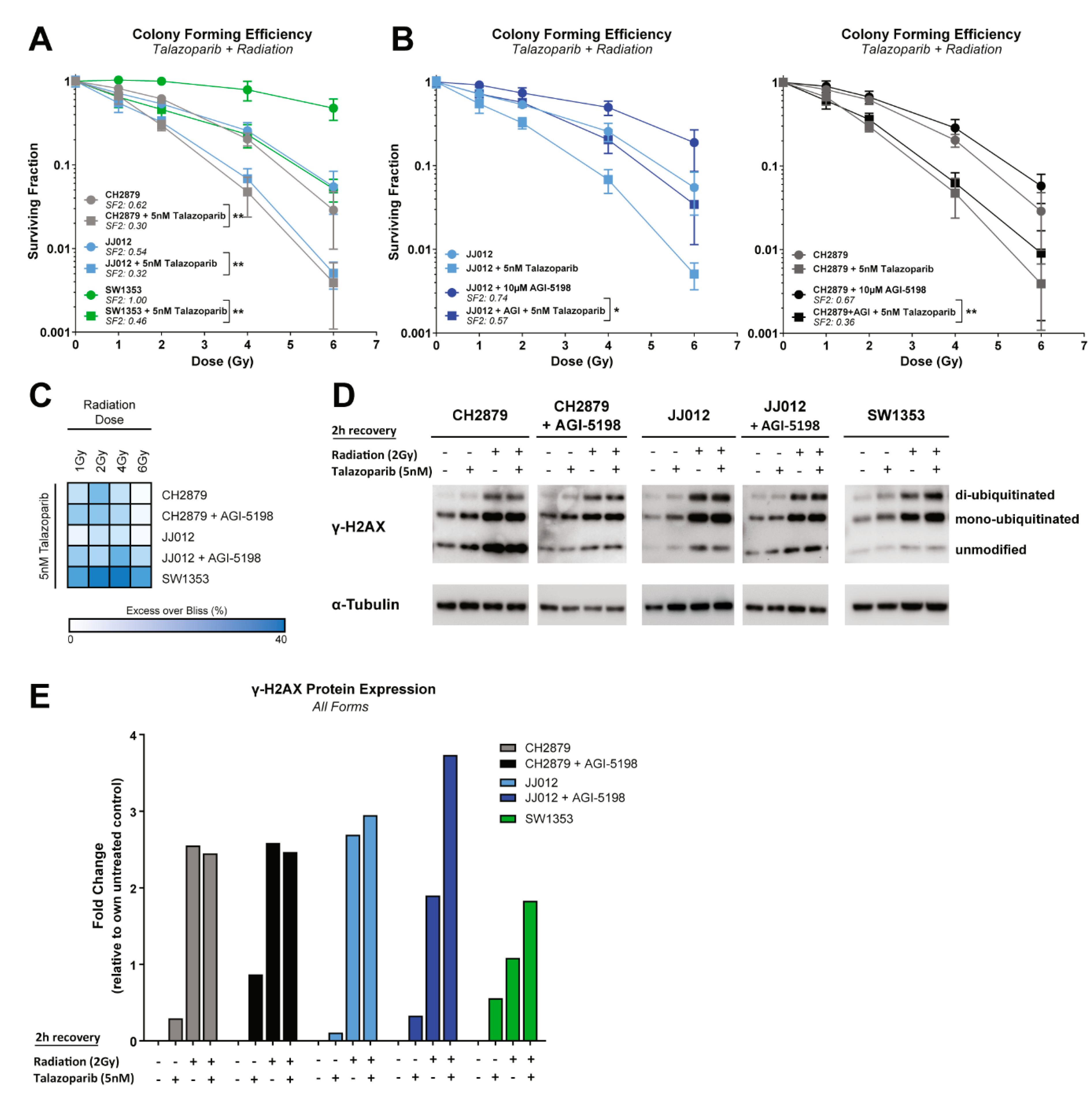 Cancers 11 01918 g005 Cancers 11 01918 g005