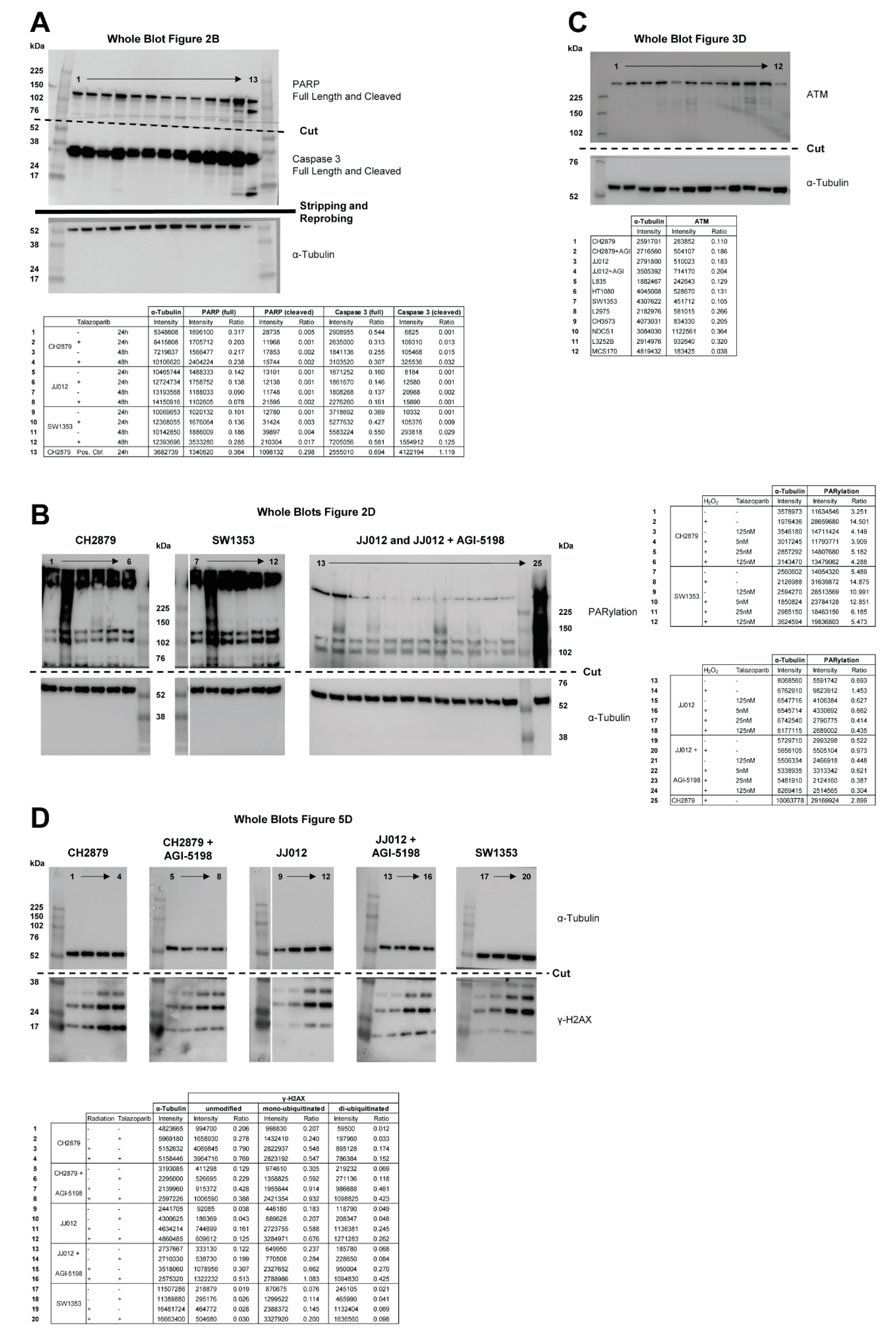 Cancers 11 01918 g0a2 Cancers 11 01918 g0a2