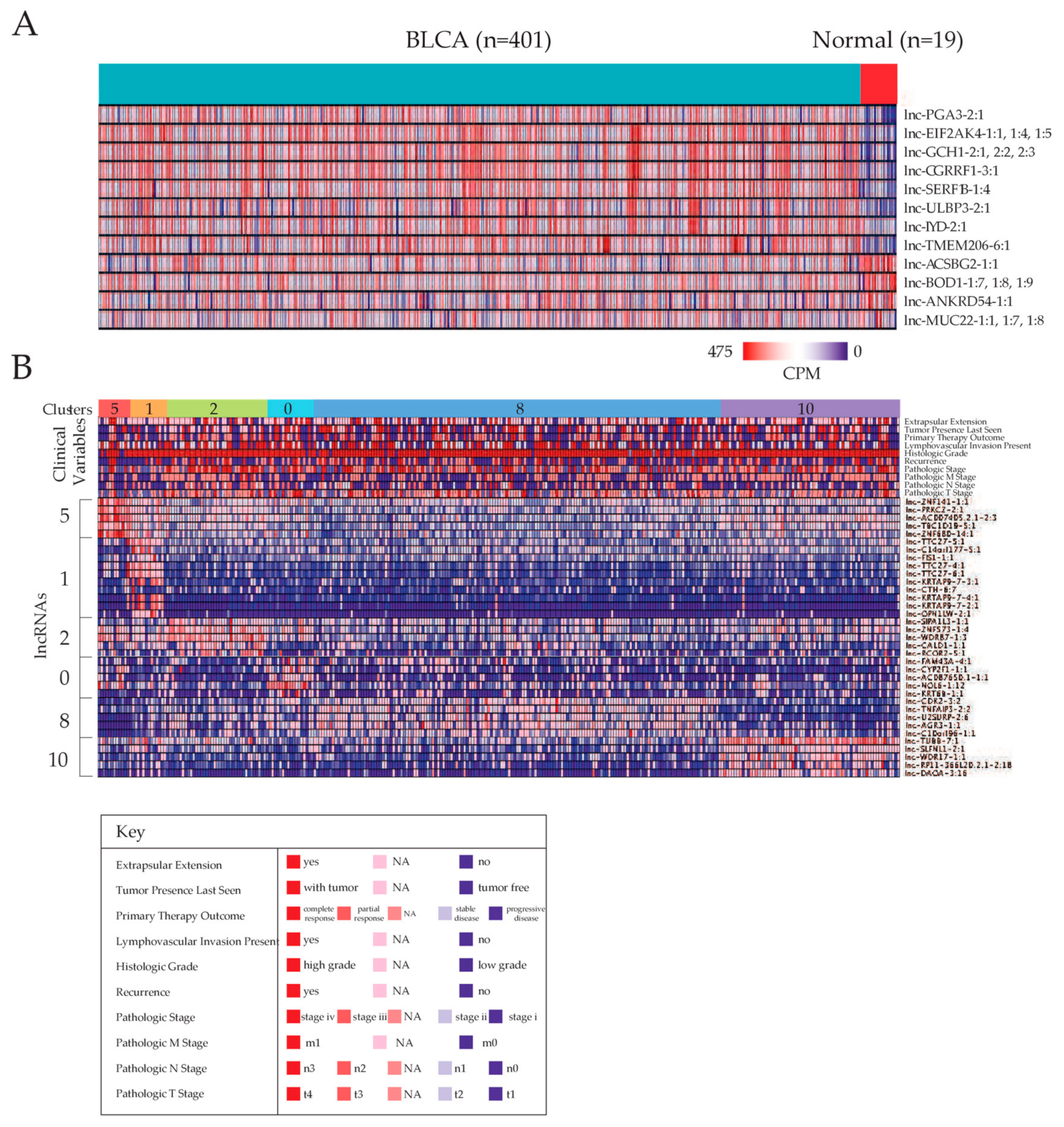 Cancers 11 01919 g001a