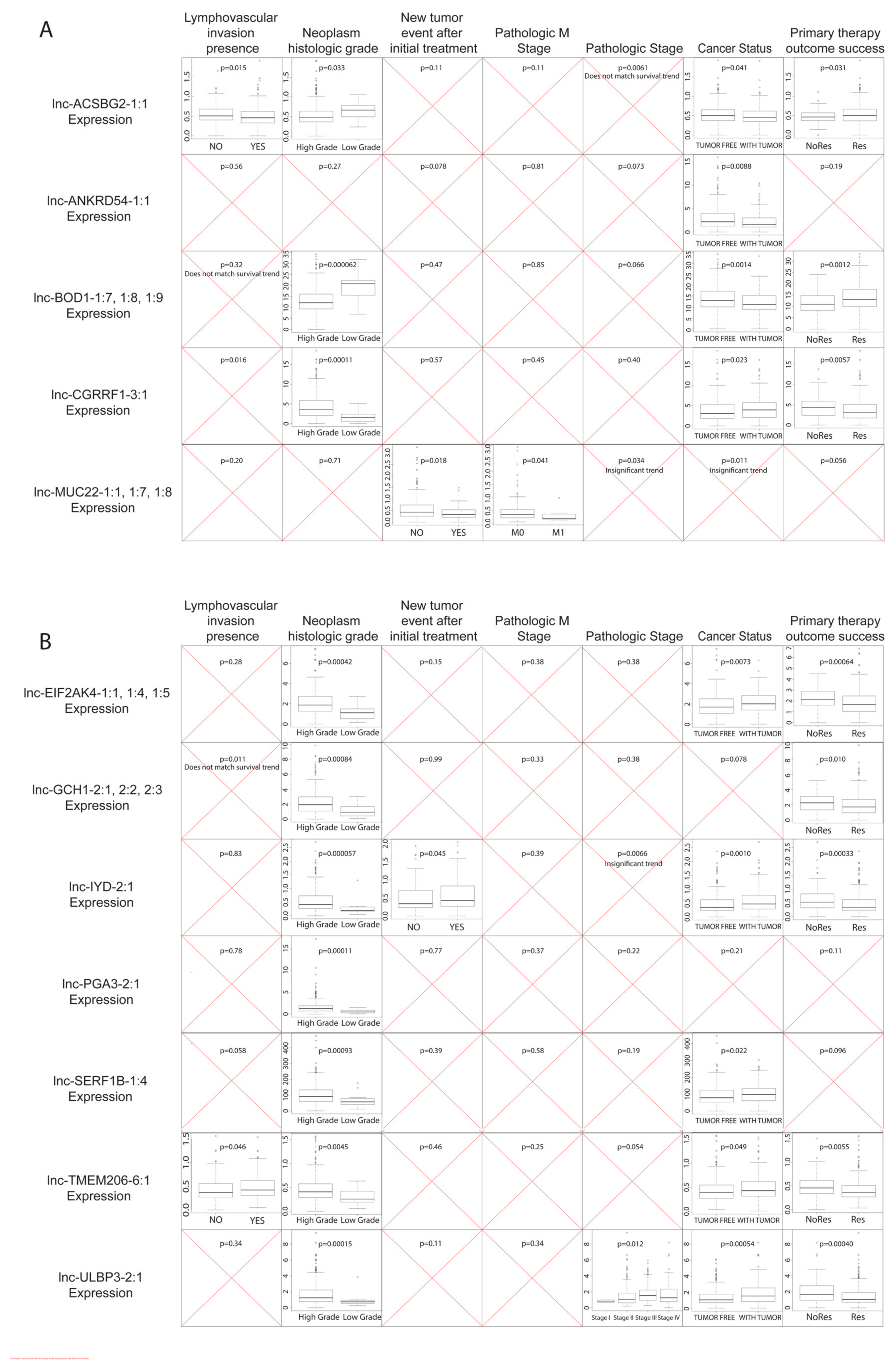 Cancers 11 01919 g002