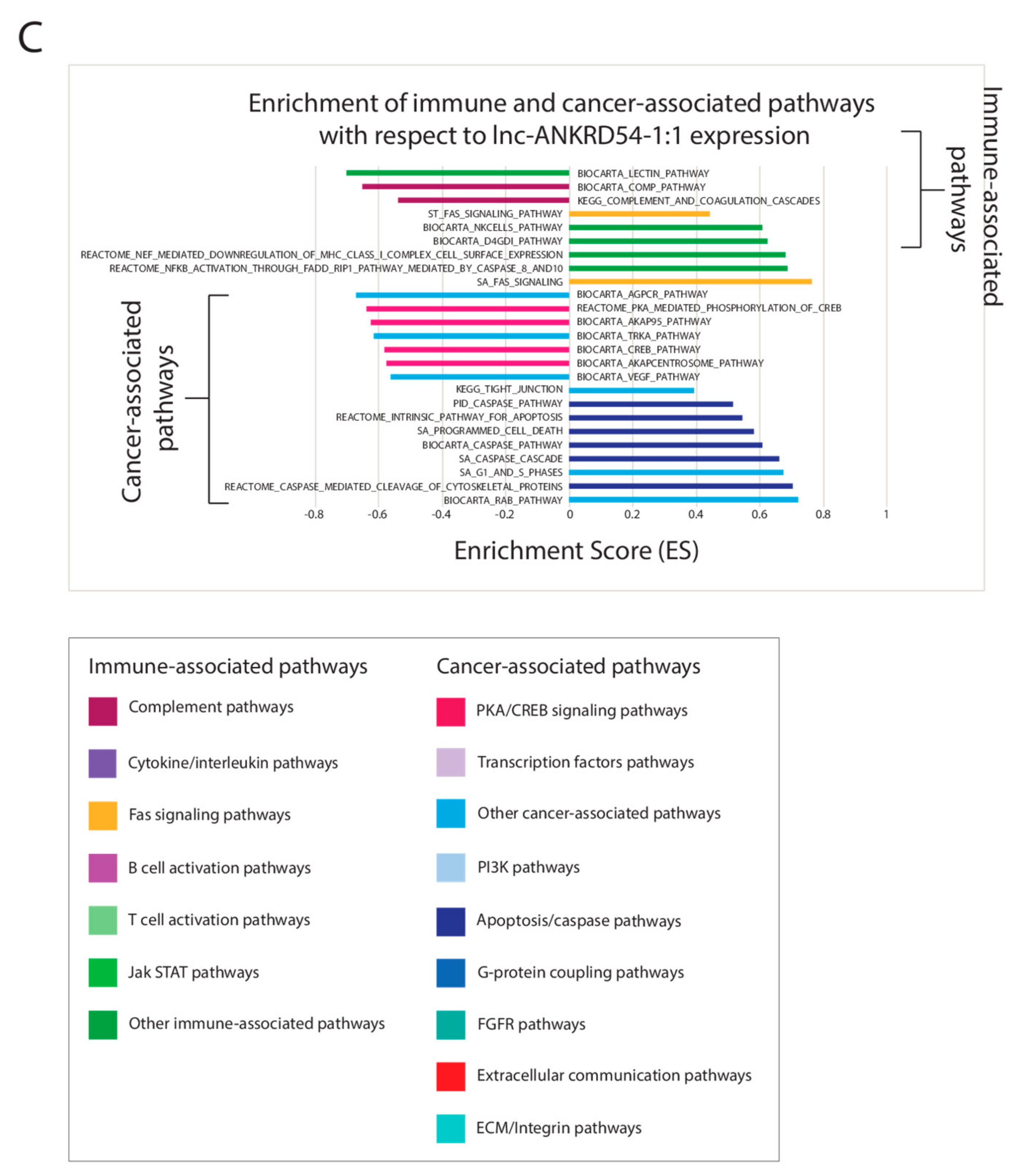 Cancers 11 01919 g003b