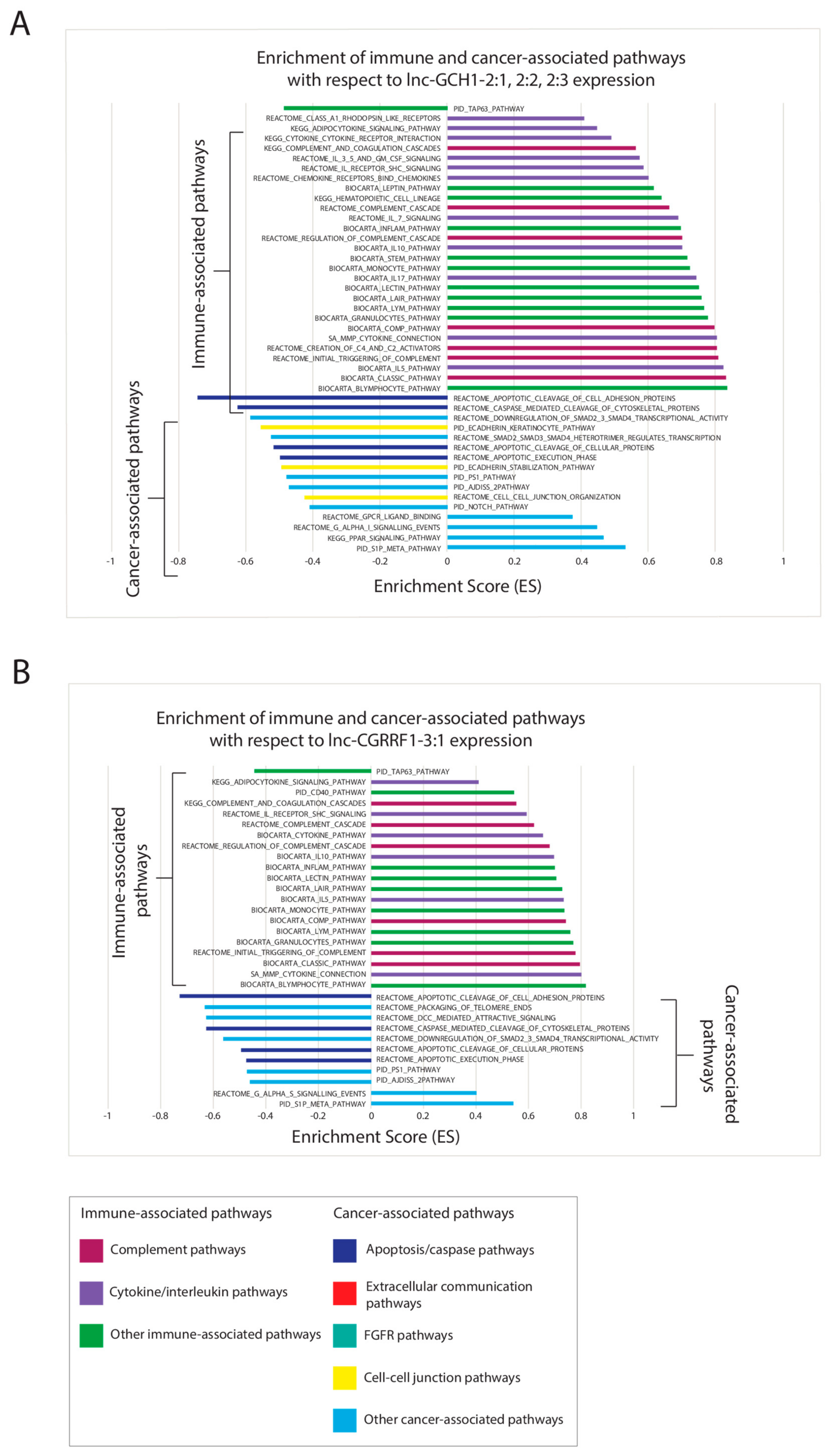 Cancers 11 01919 g004
