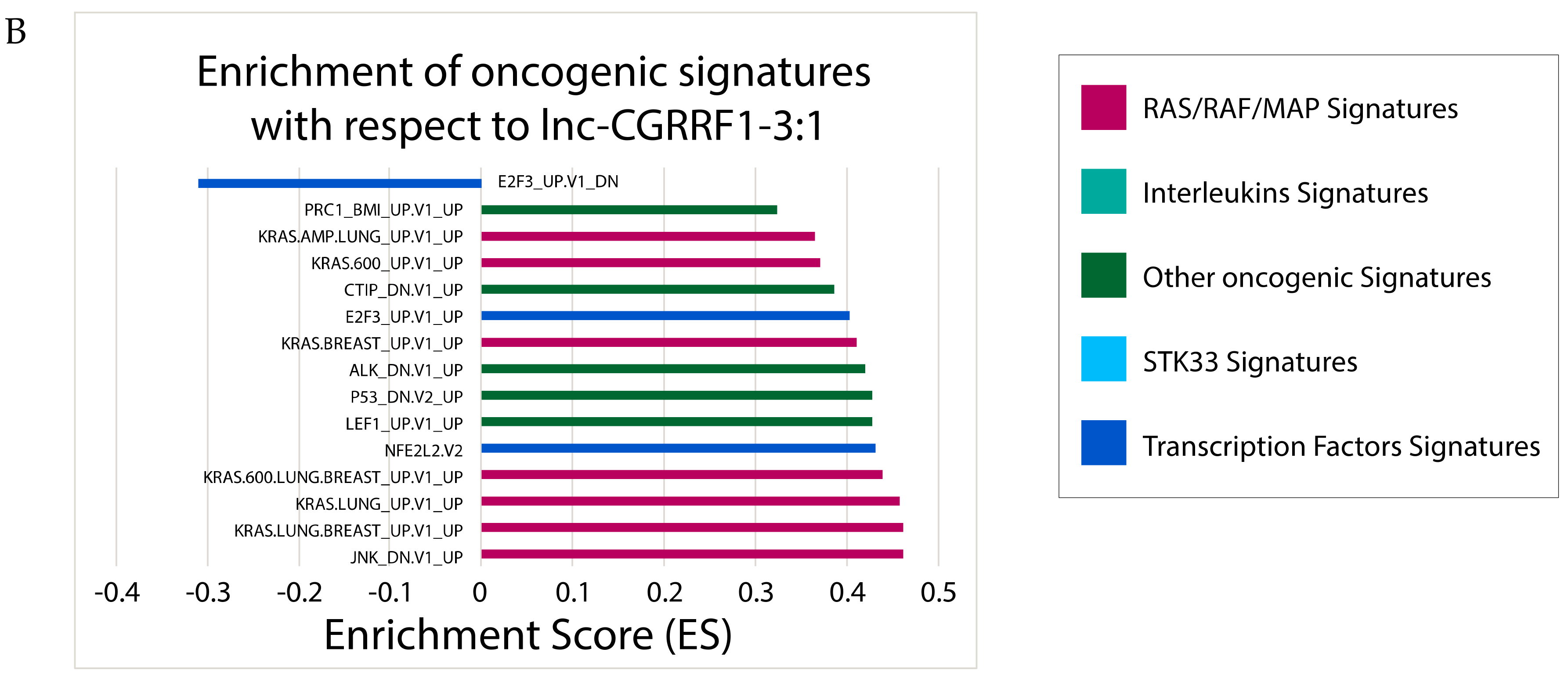Cancers 11 01919 g005b