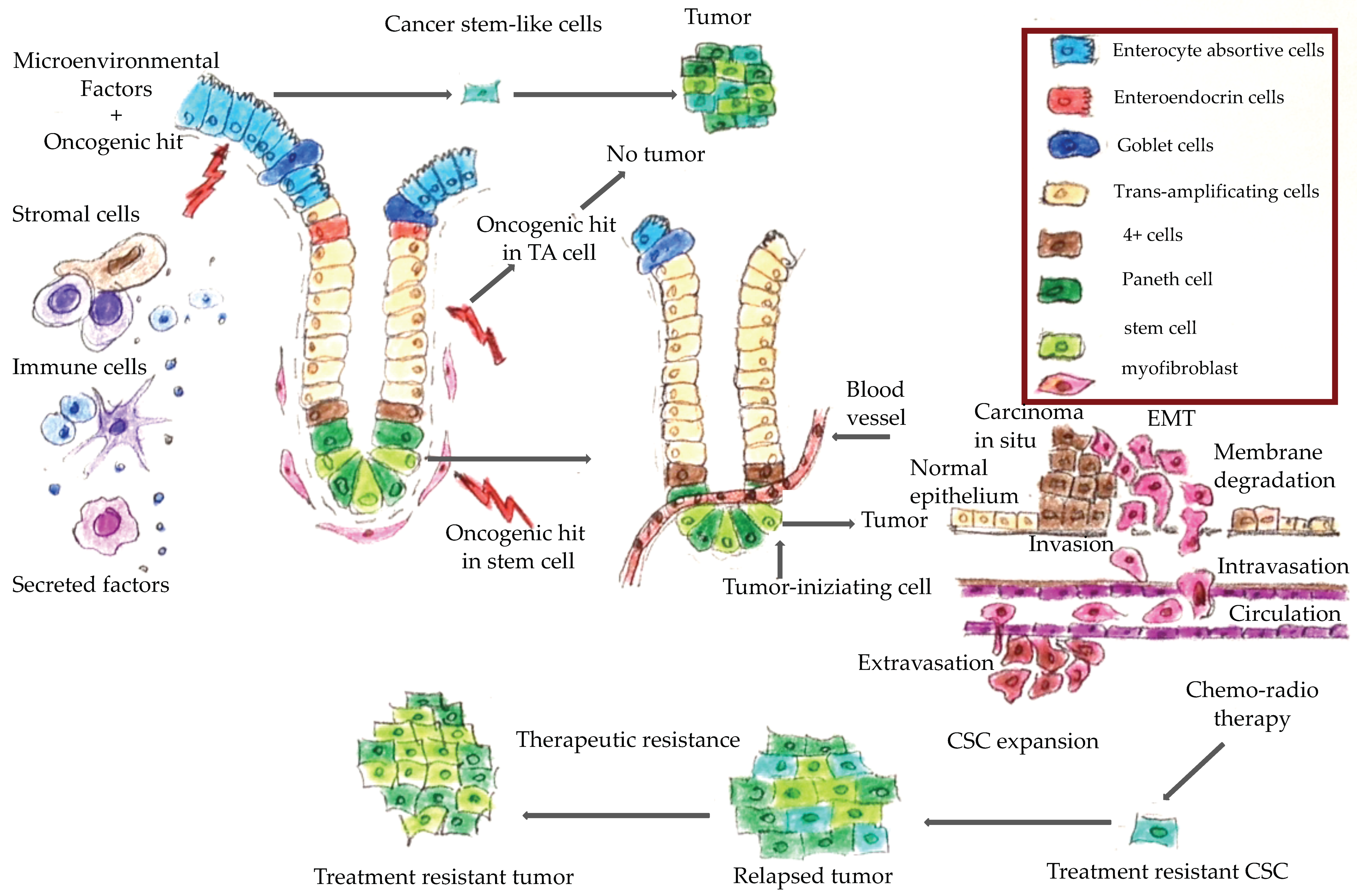 Cancers 11 01932 g001