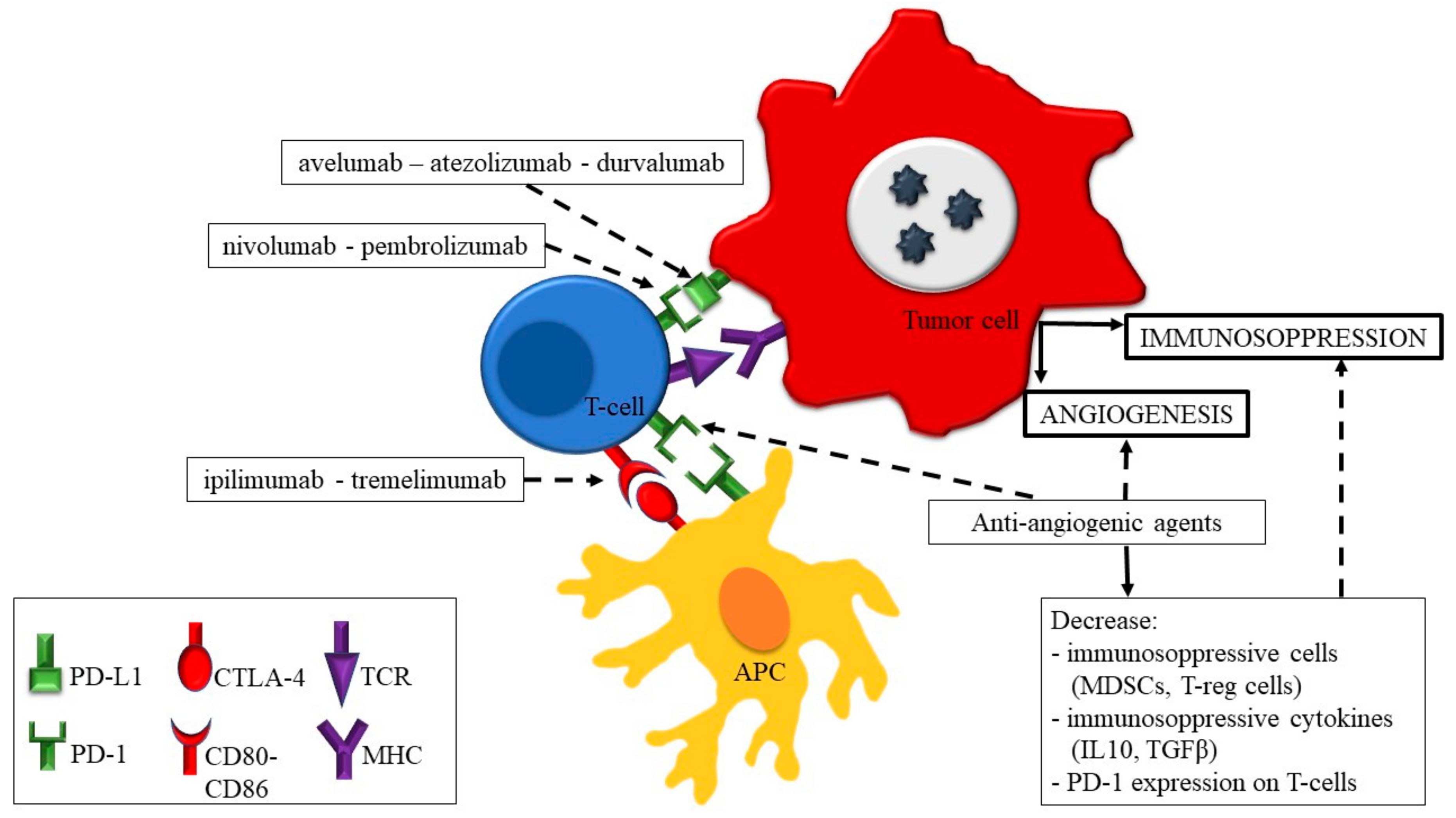 Cancers 11 01935 g001