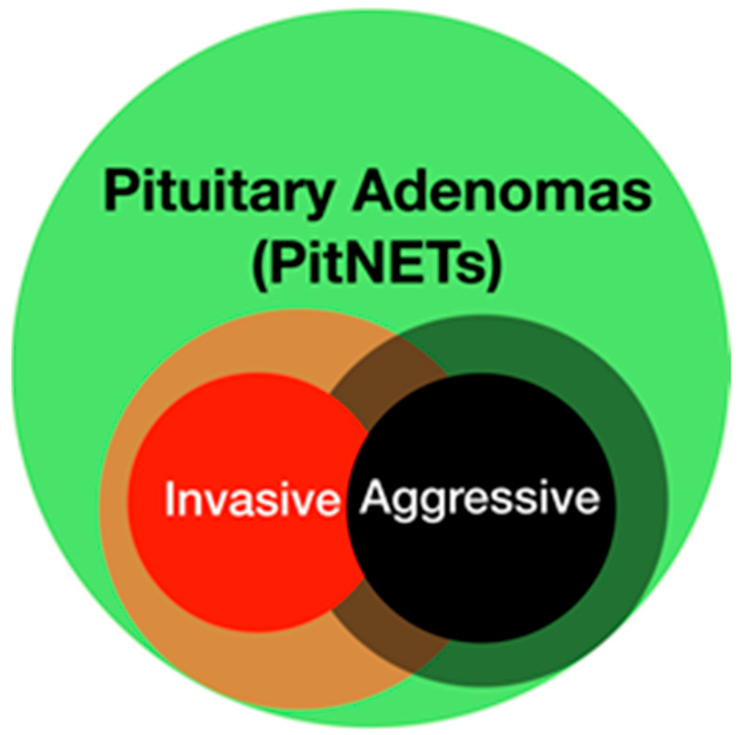 Cancers 11 01936 g001