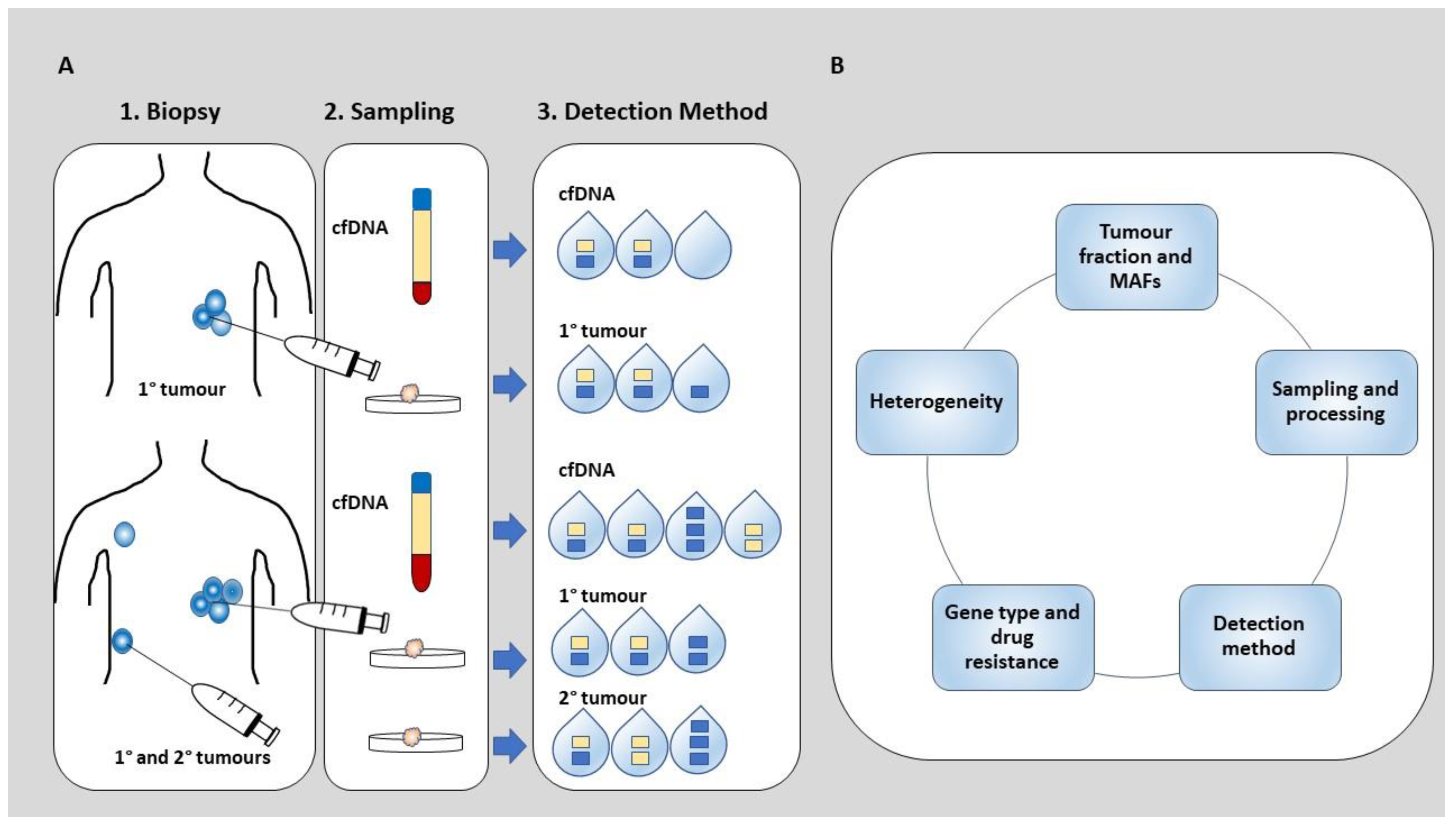 Cancers 11 01938 g001