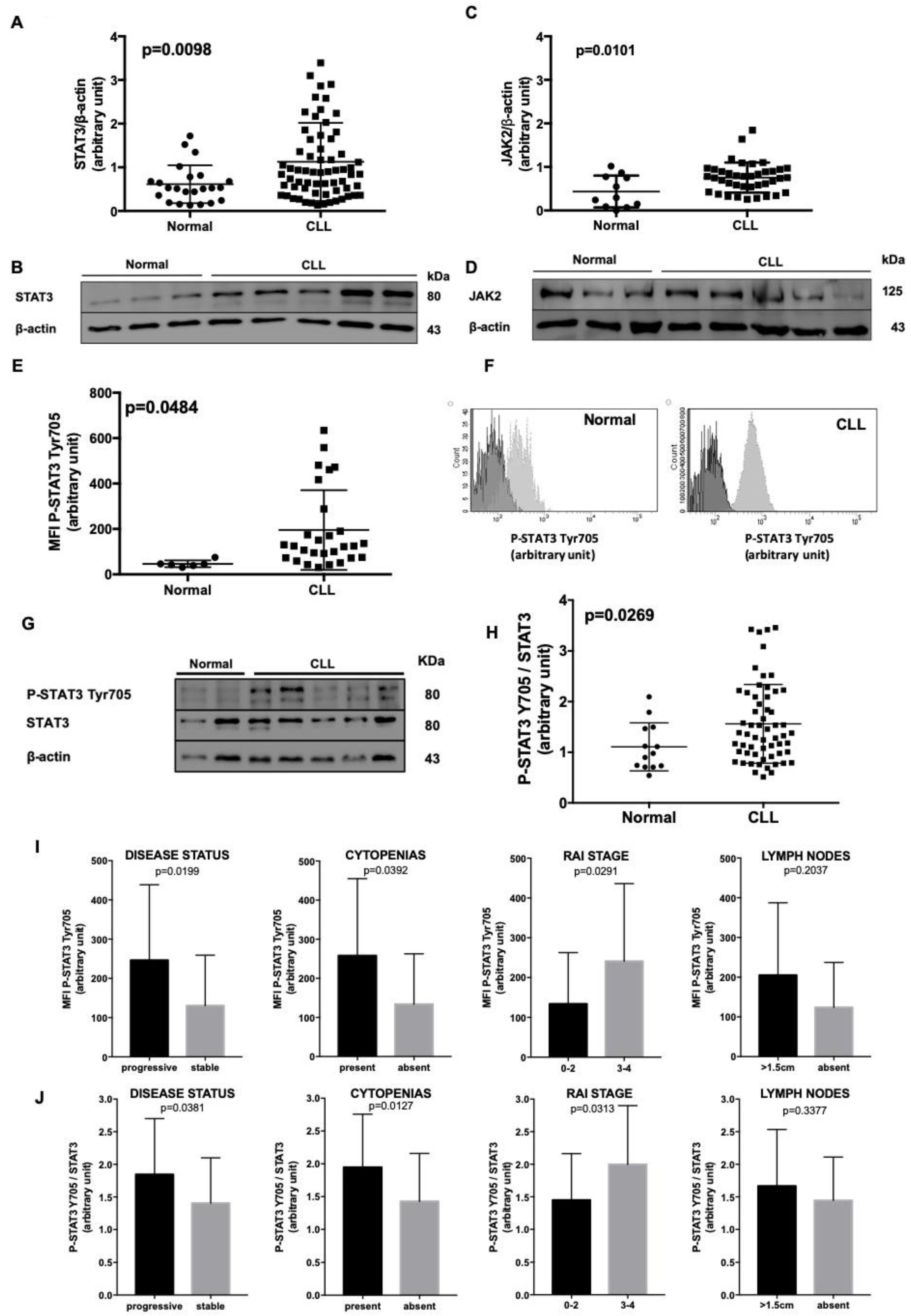 Cancers 11 01939 g001