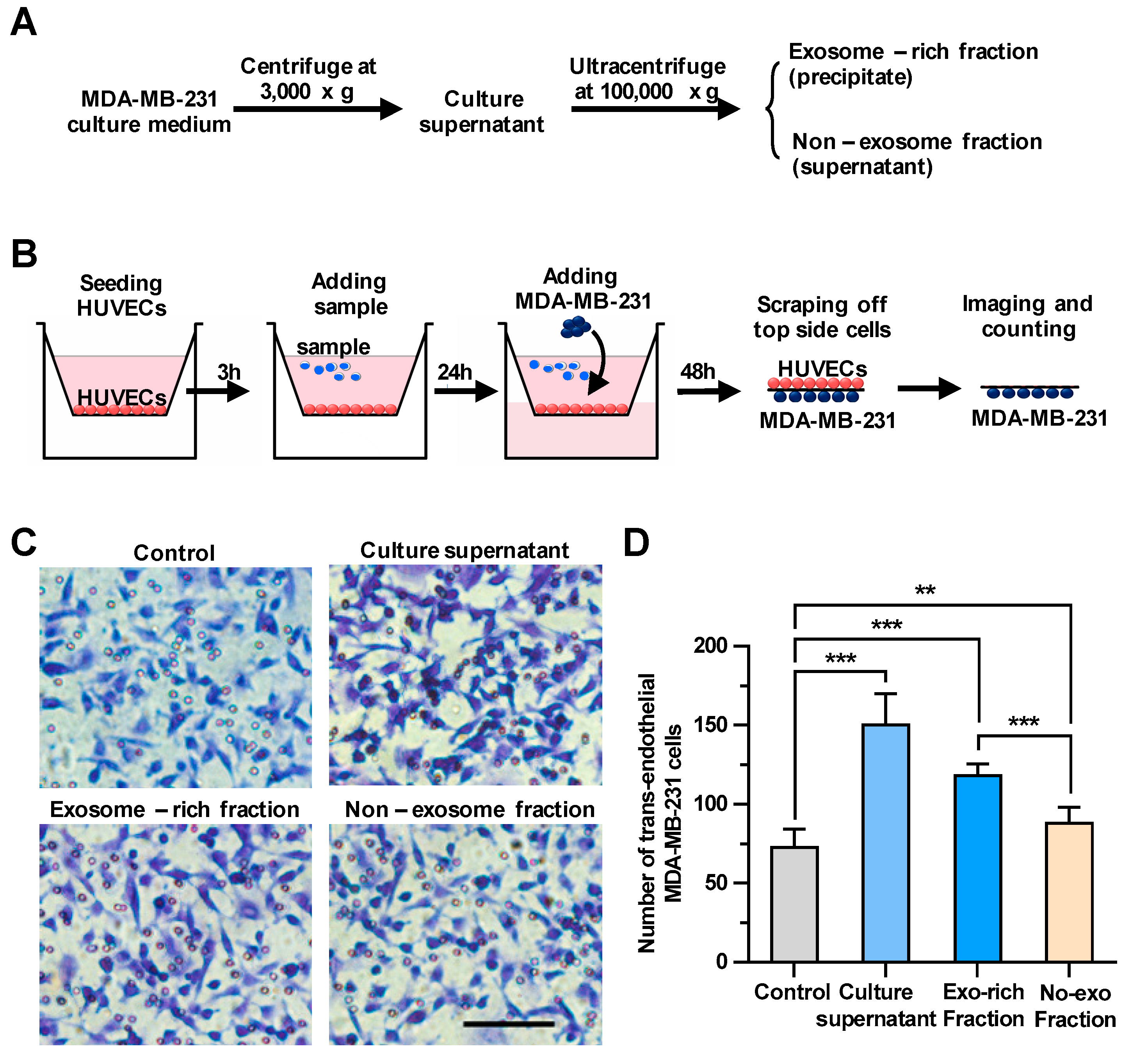 Cancers 11 01946 g001