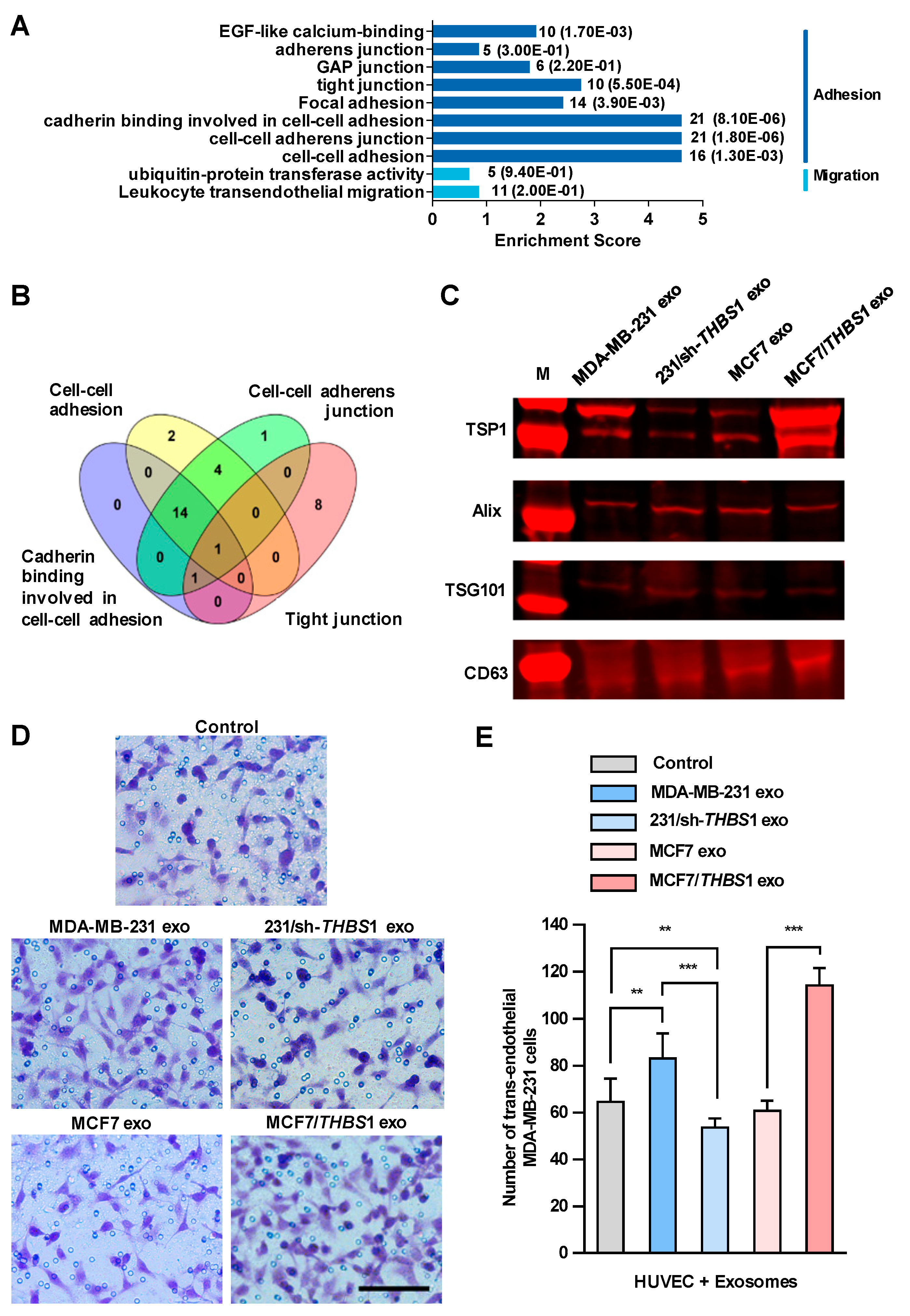 Cancers 11 01946 g004