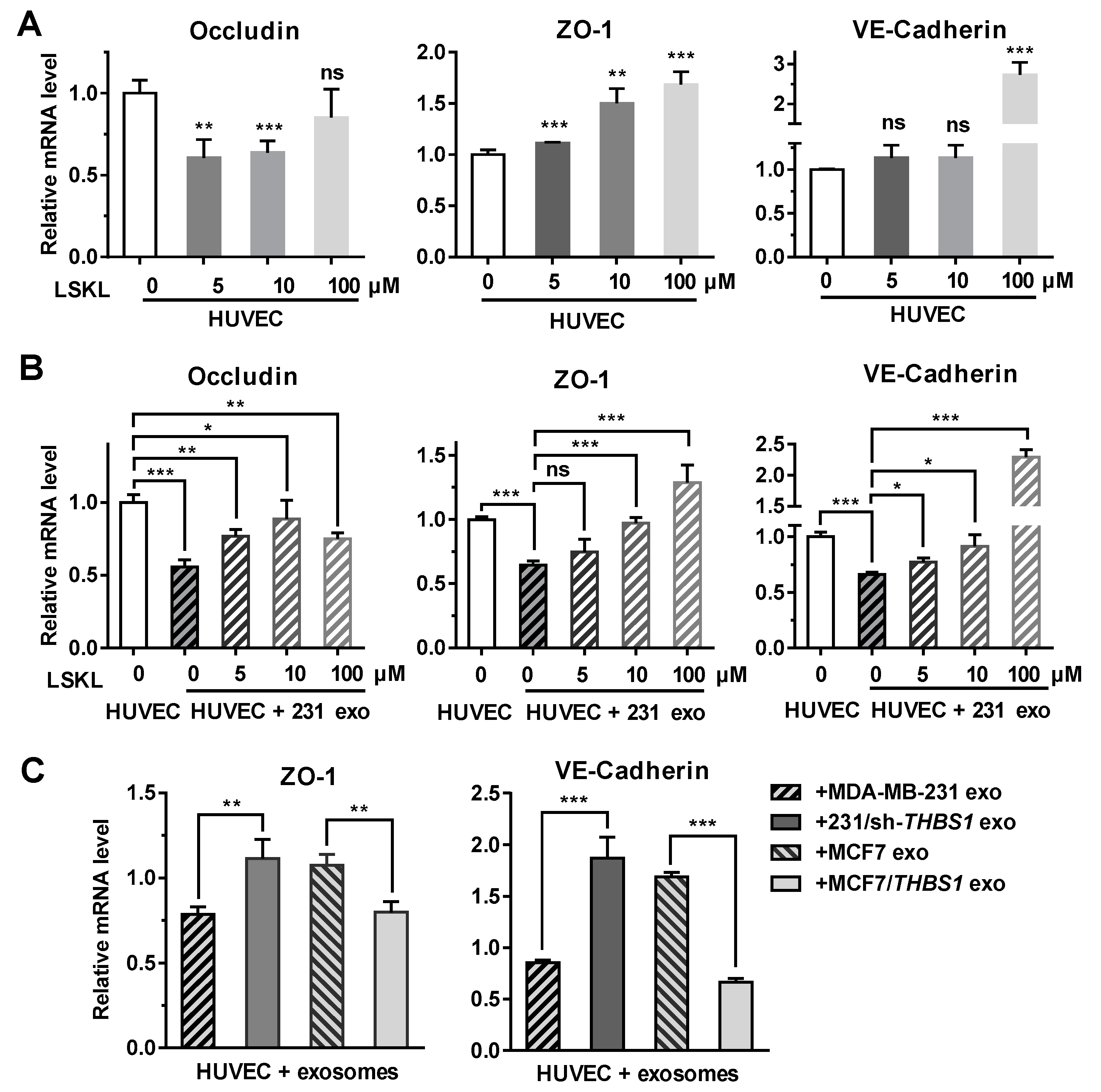 Cancers 11 01946 g005