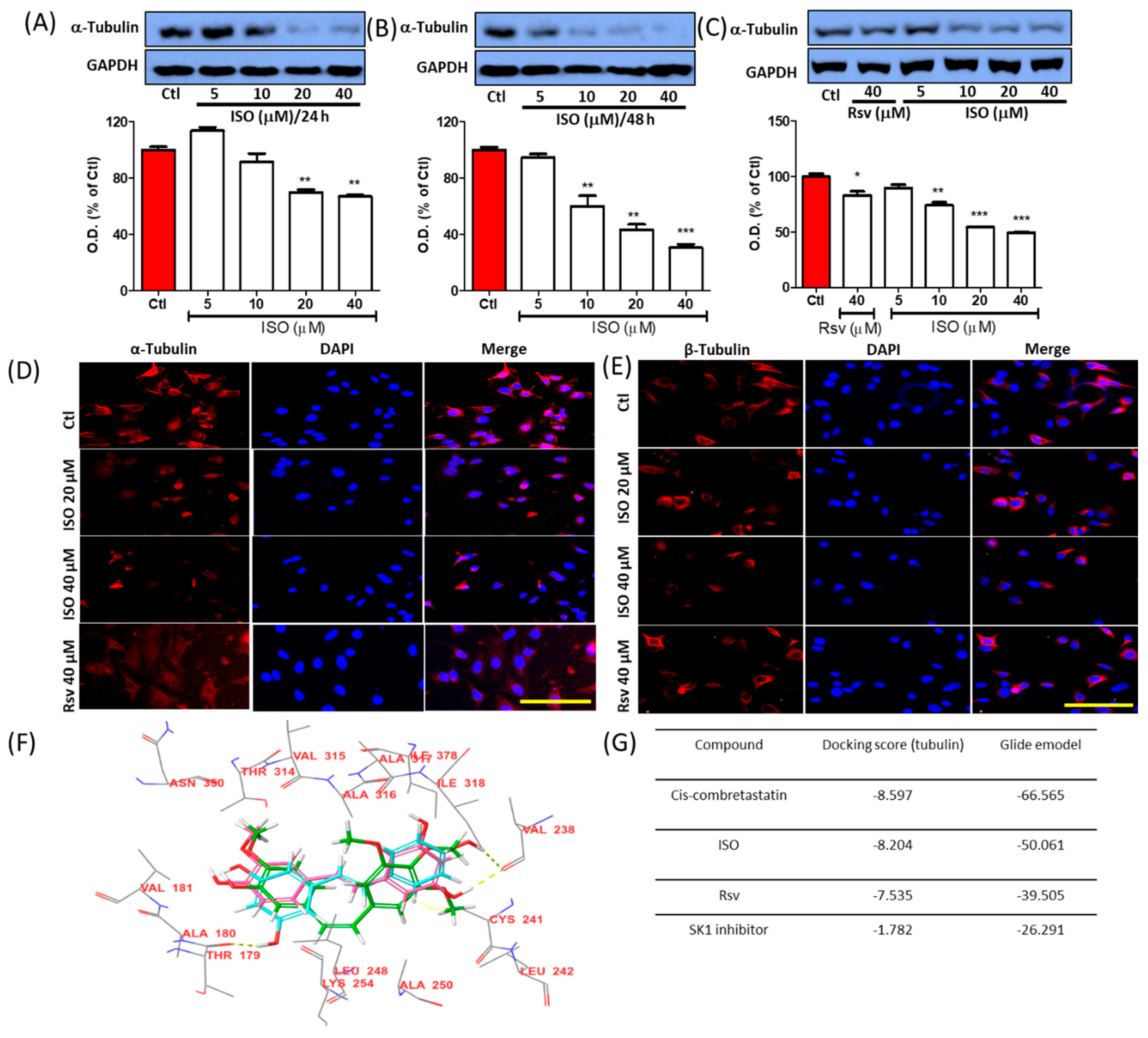 Cancers 11 01947 g001