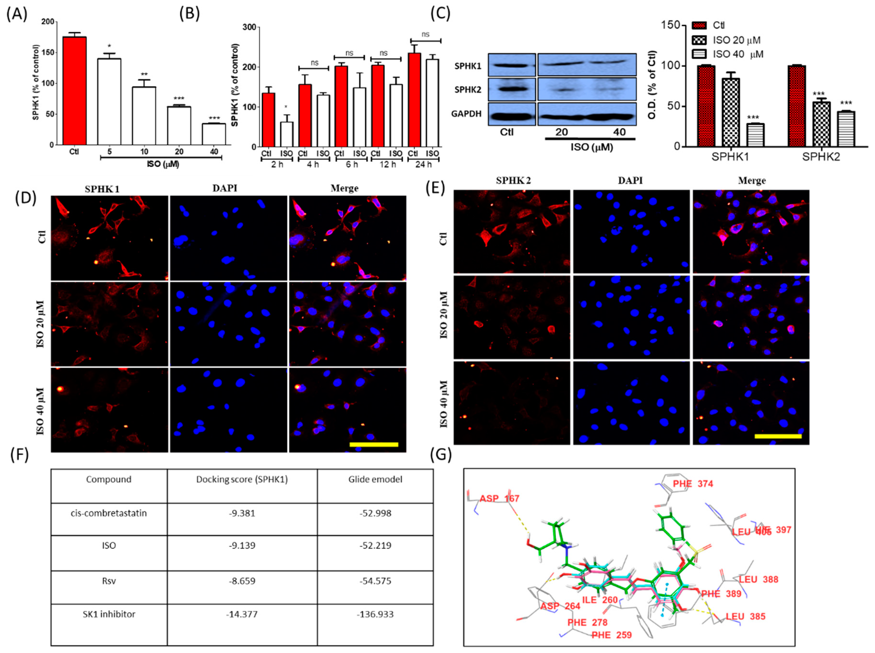 Cancers 11 01947 g002