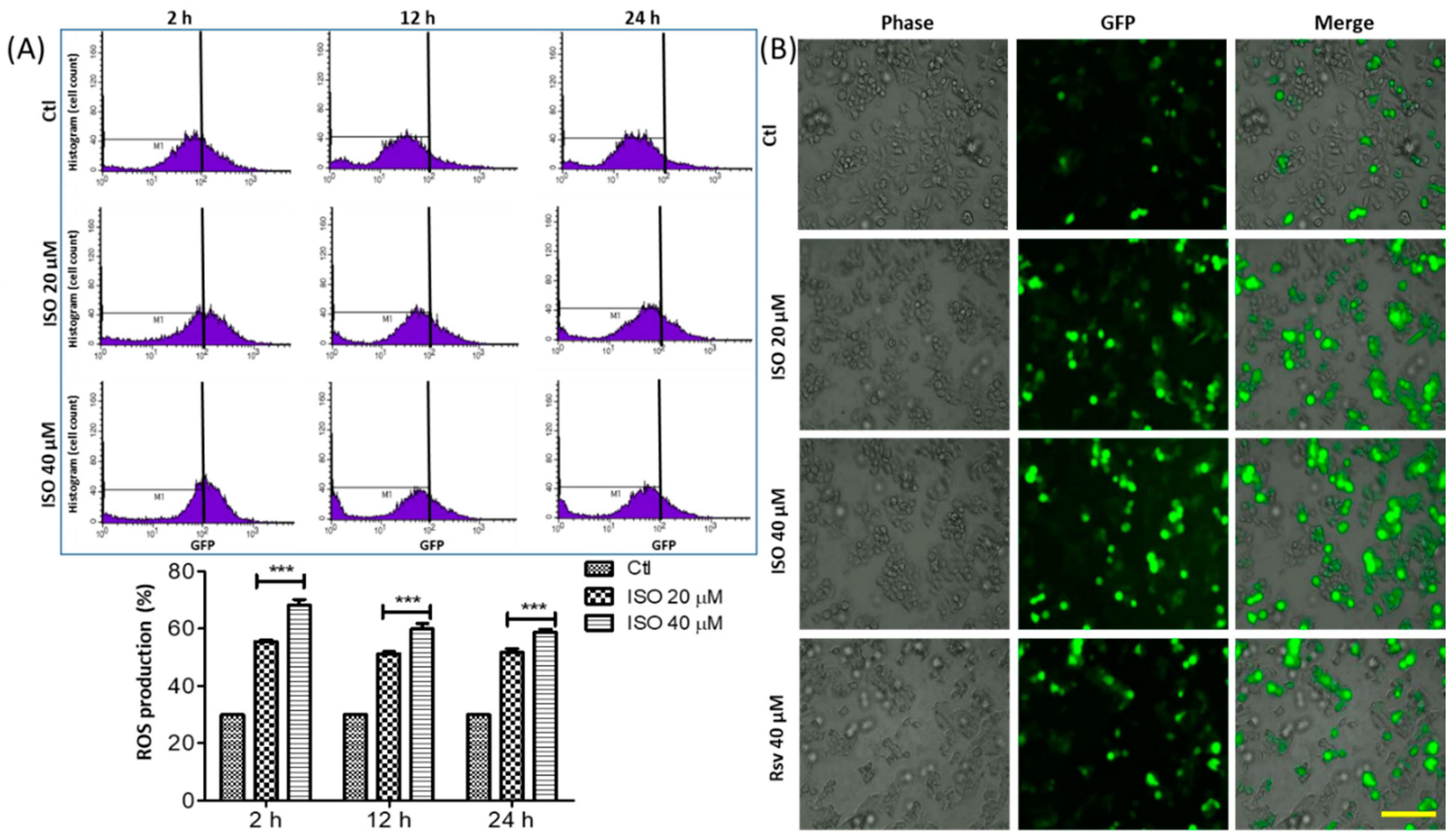 Cancers 11 01947 g003