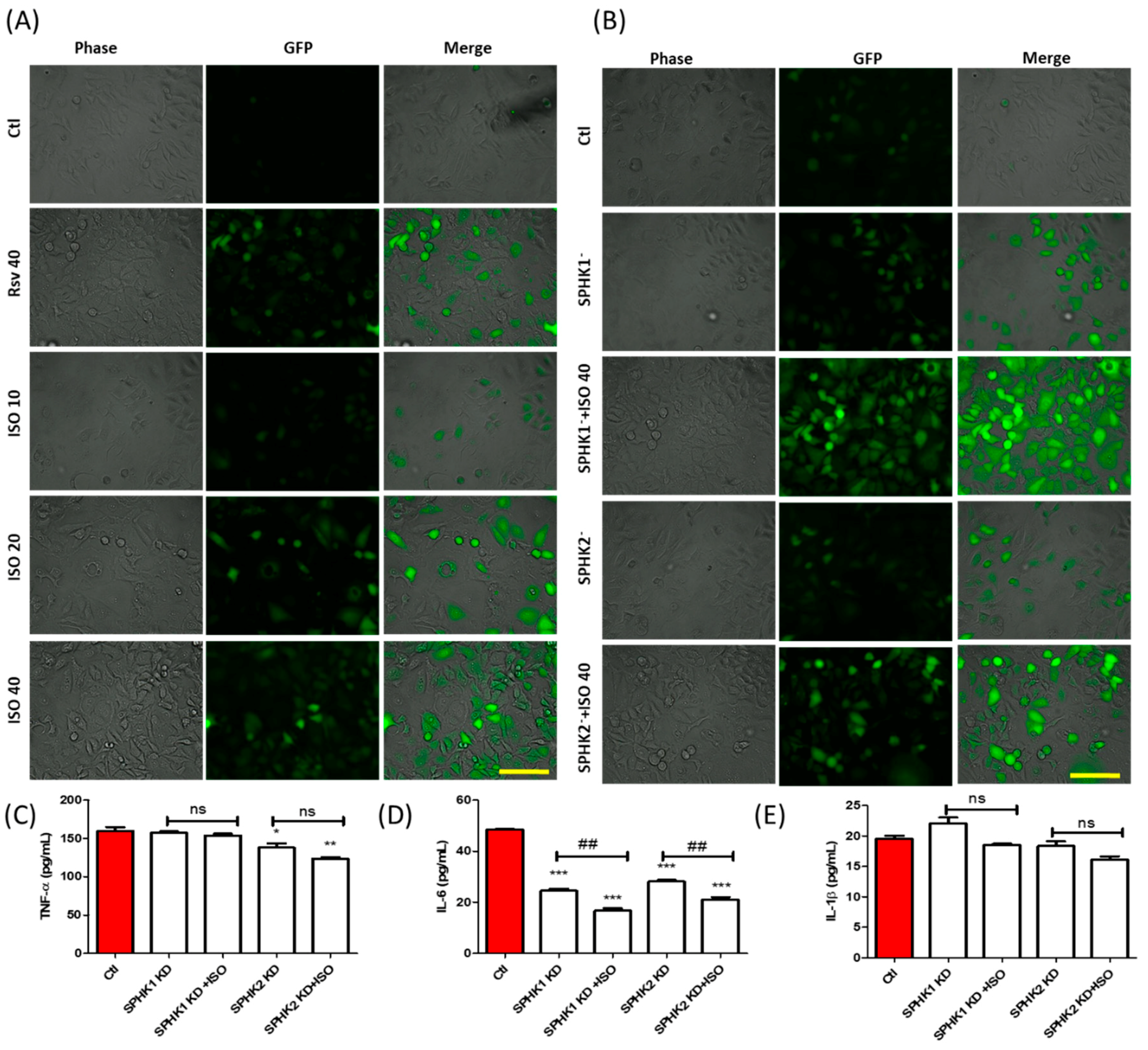 Cancers 11 01947 g006