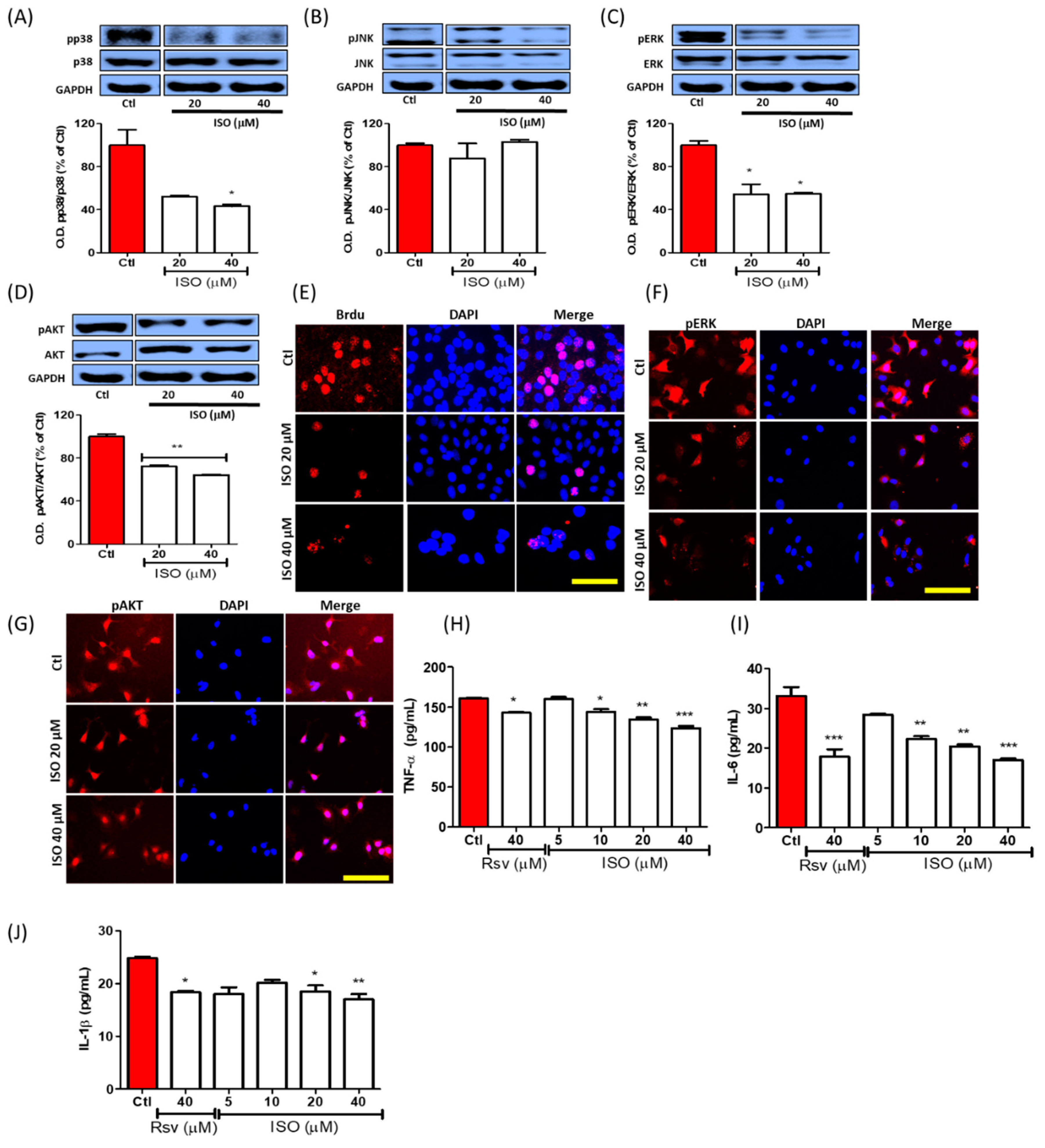 Cancers 11 01947 g007
