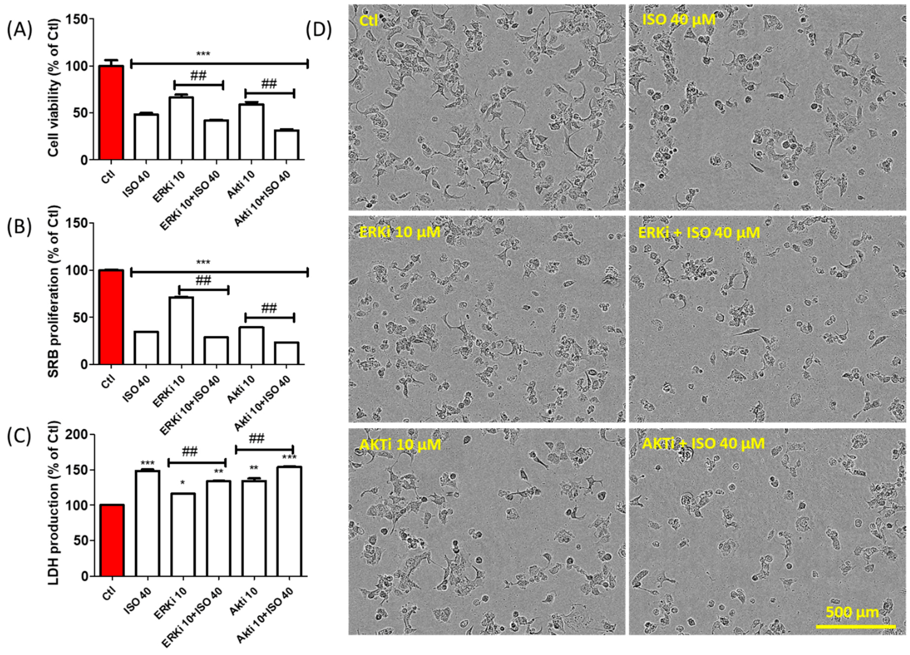 Cancers 11 01947 g008