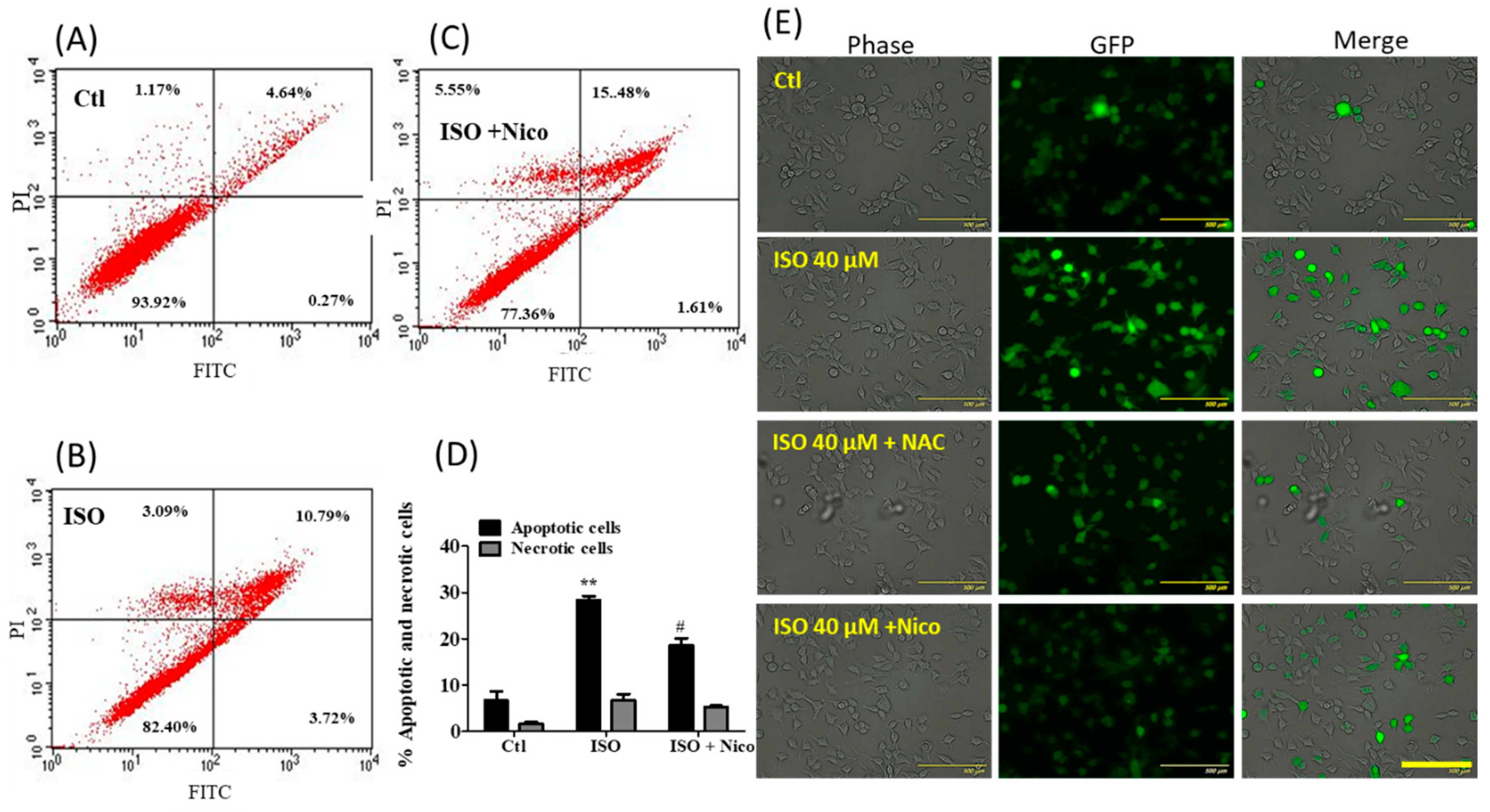 Cancers 11 01947 g011