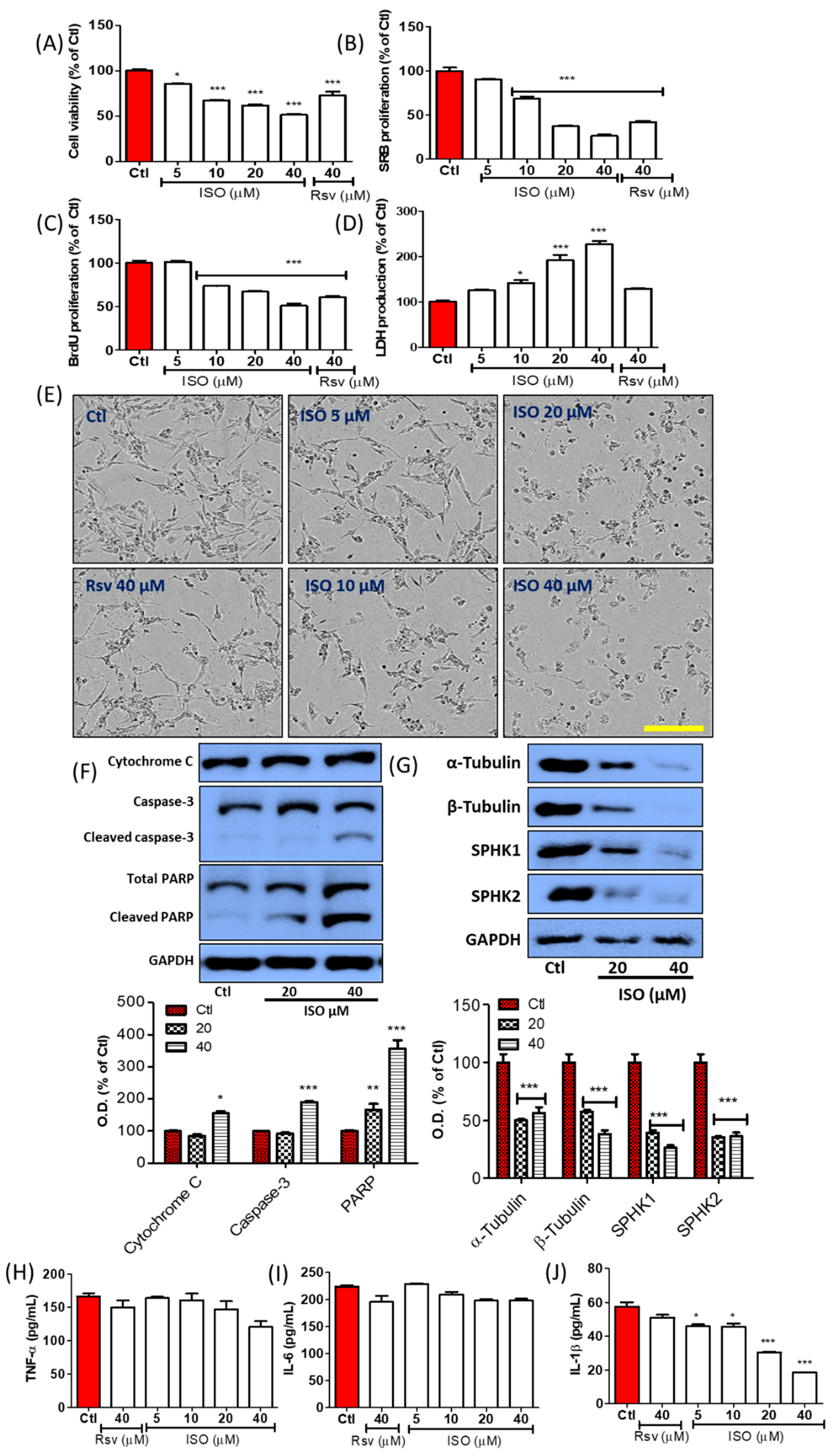 Cancers 11 01947 g012a