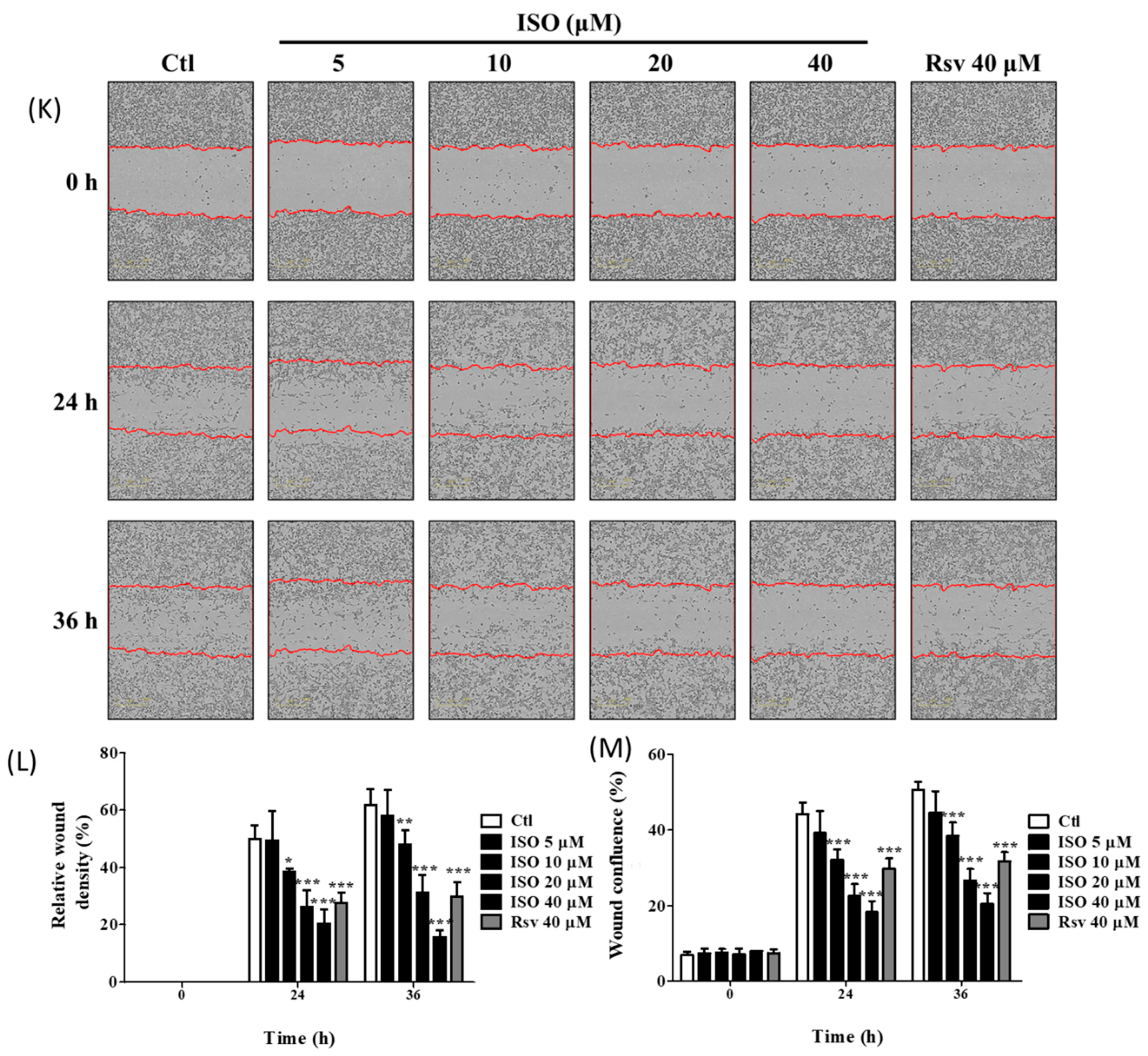 Cancers 11 01947 g012b
