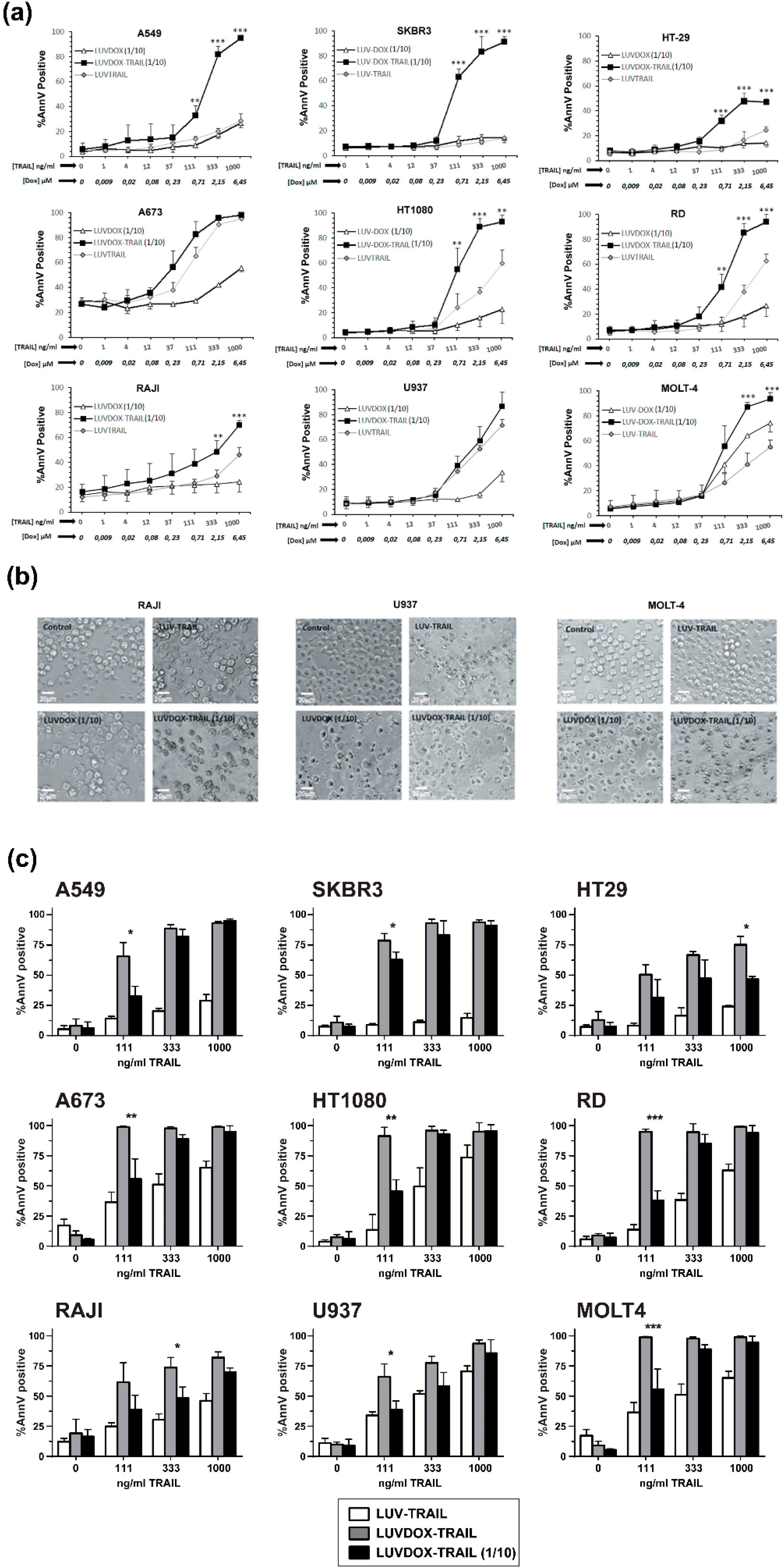 Cancers 11 01948 g005