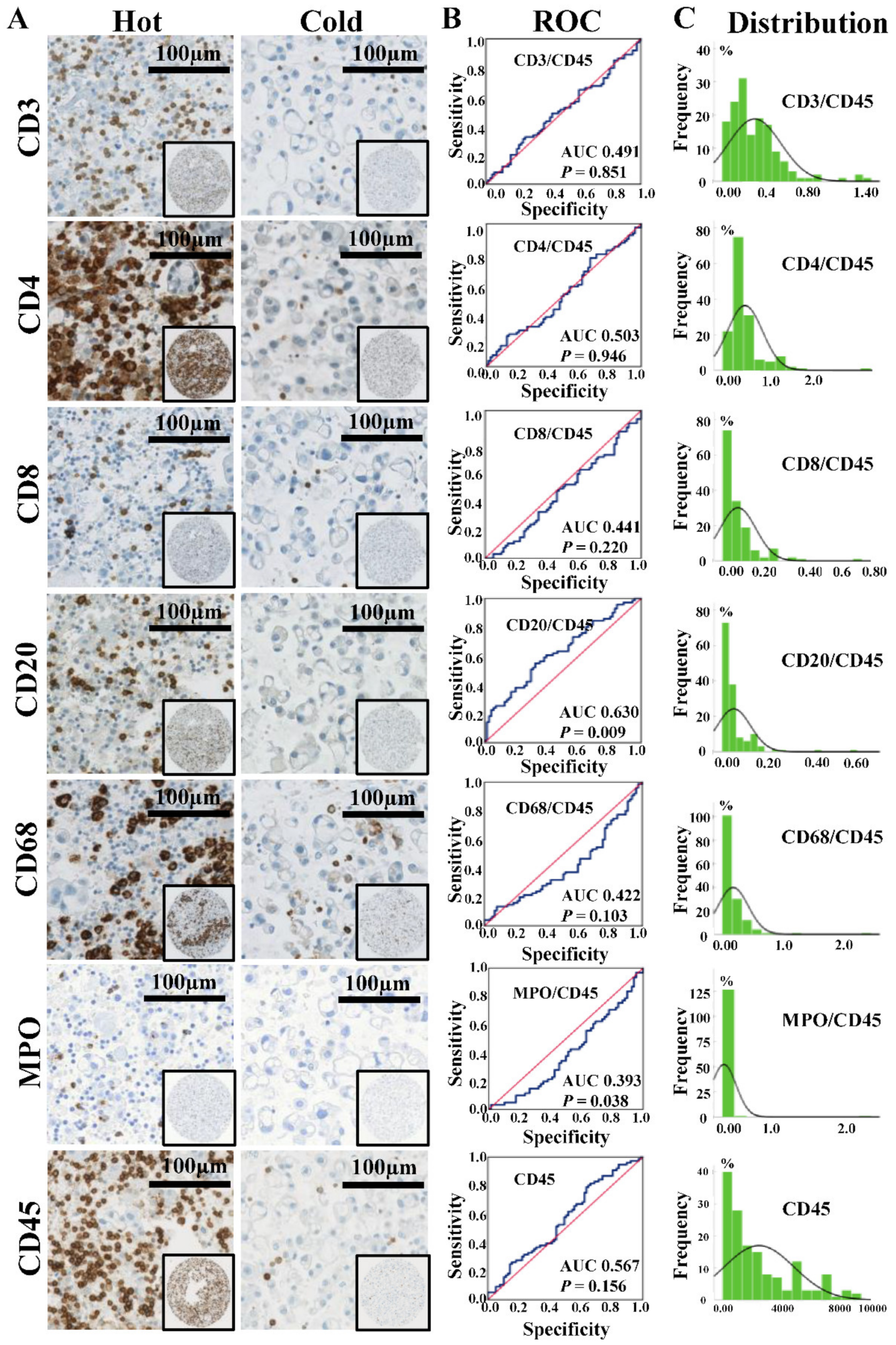 Cancers 11 01953 g003