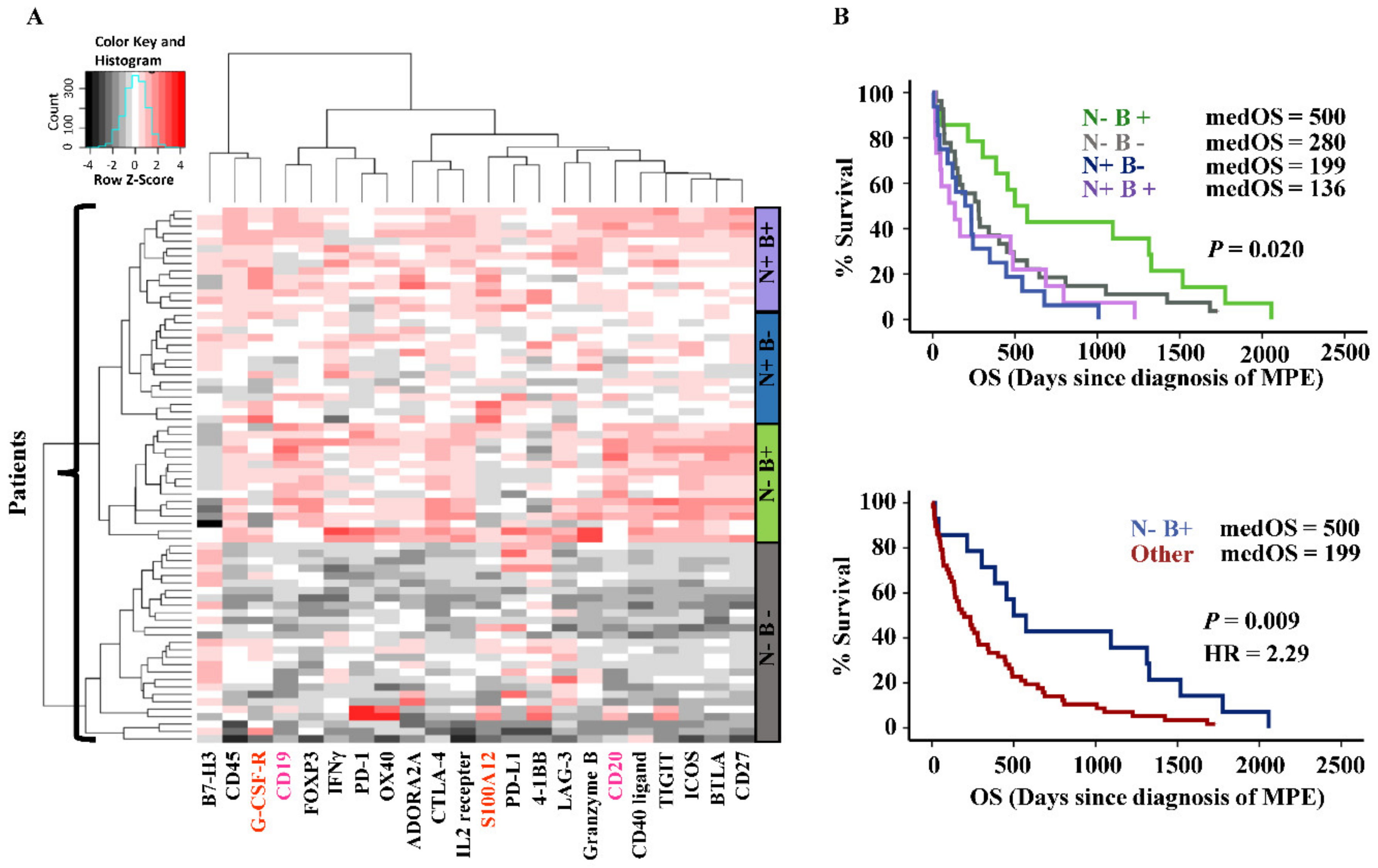 Cancers 11 01953 g005
