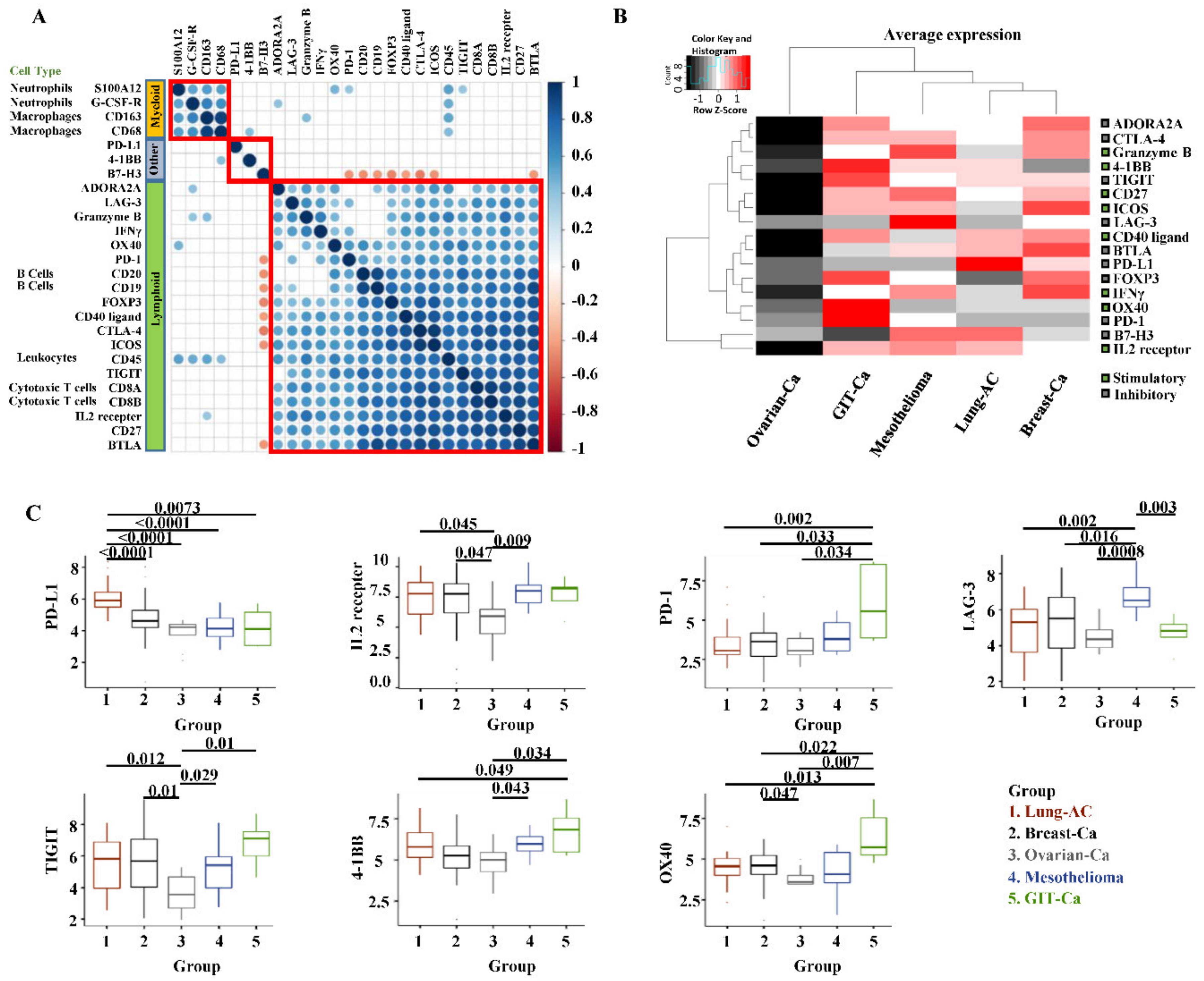 Cancers 11 01953 g006