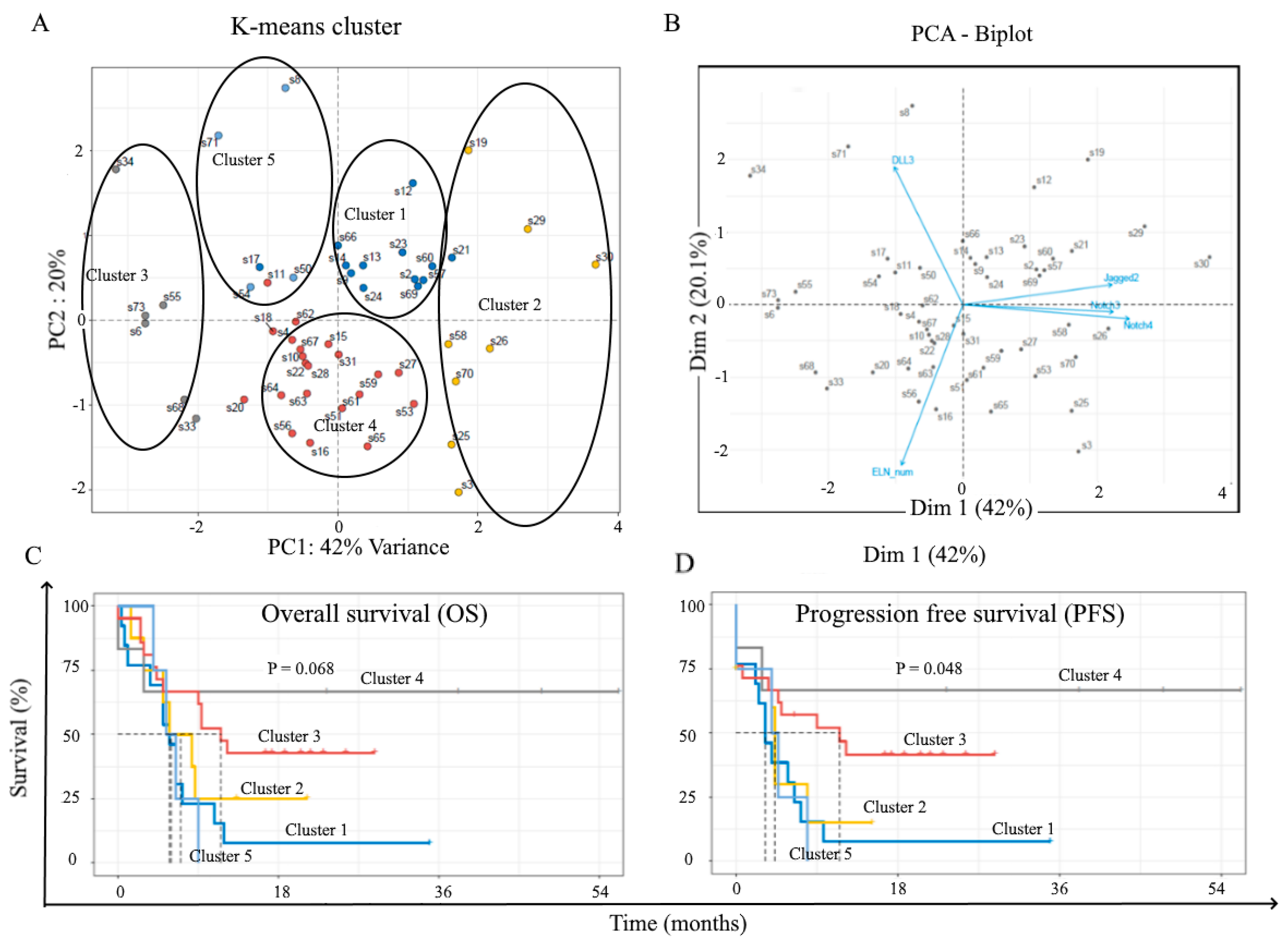 Cancers 11 01958 g006