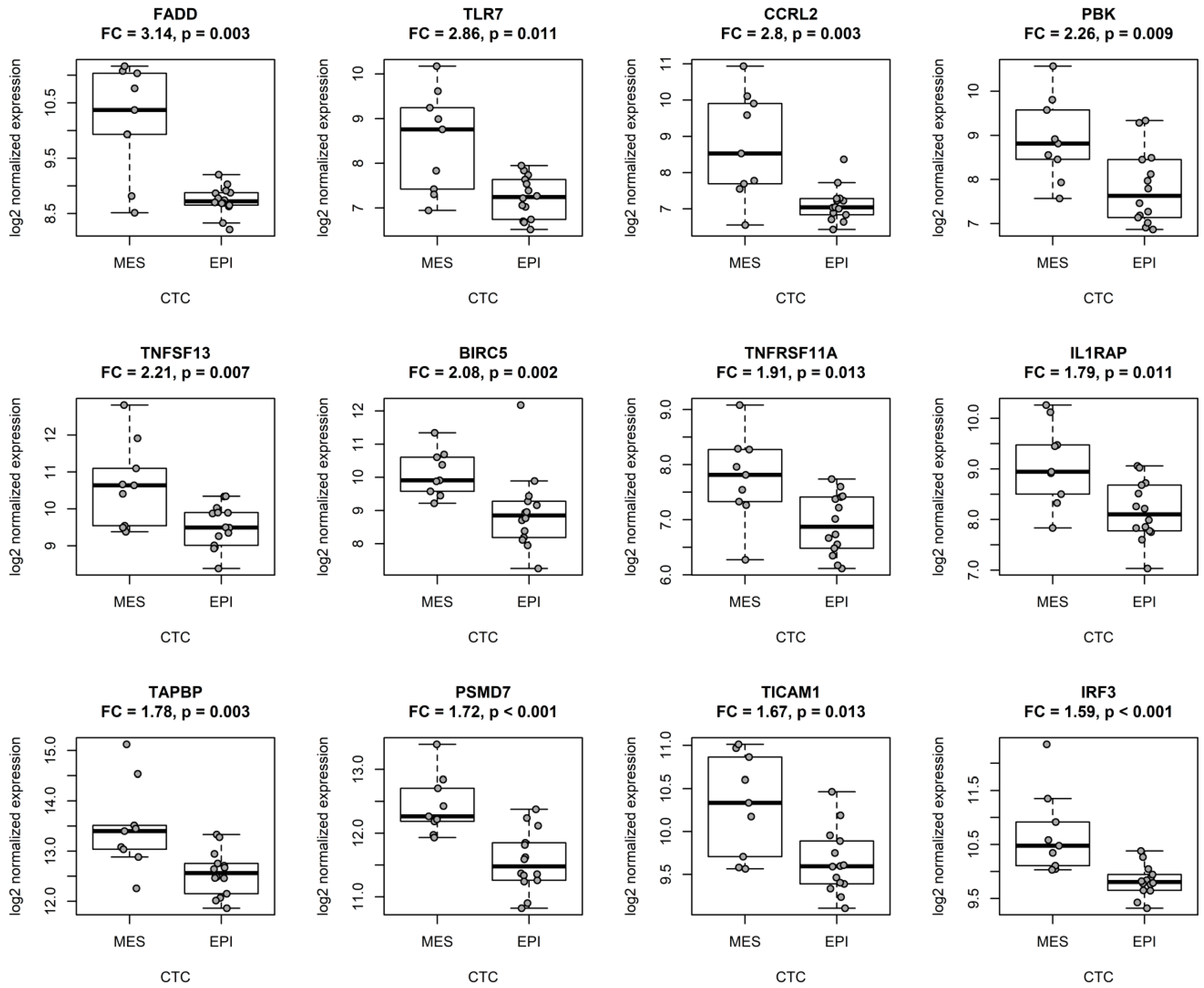 Cancers 11 01961 g001