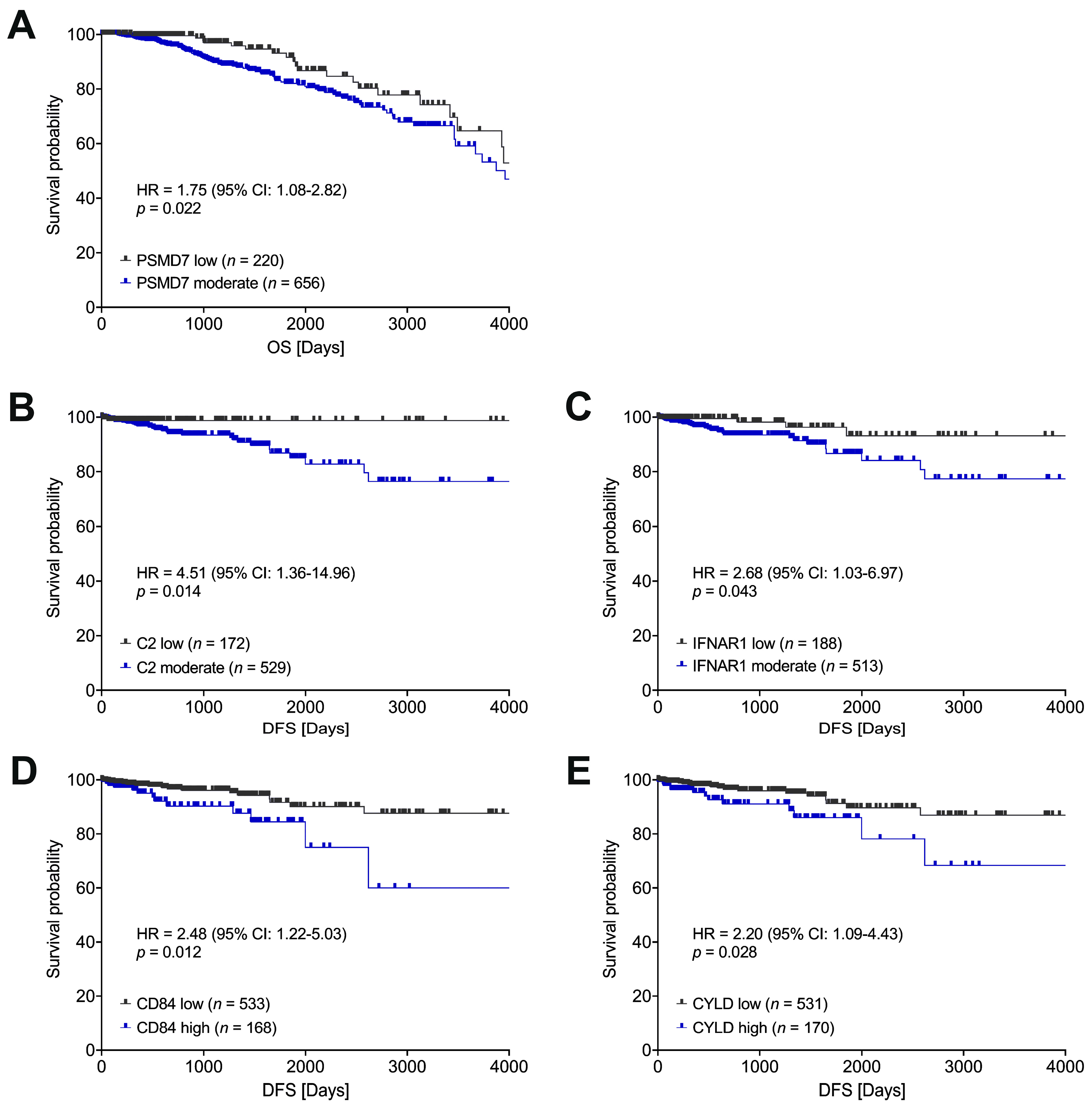 Cancers 11 01961 g002