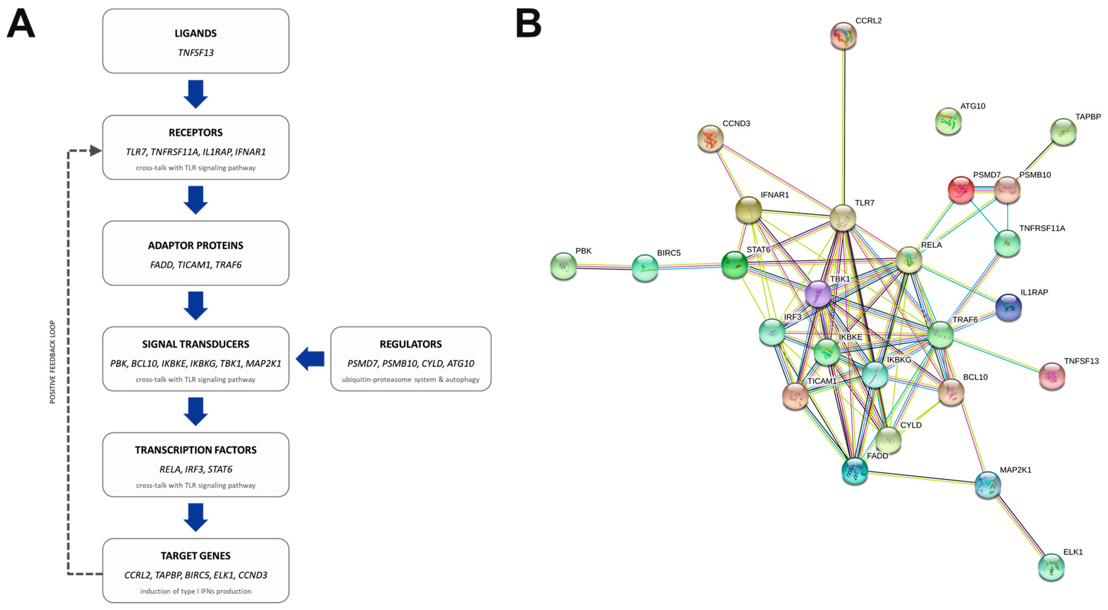 Cancers 11 01961 g003