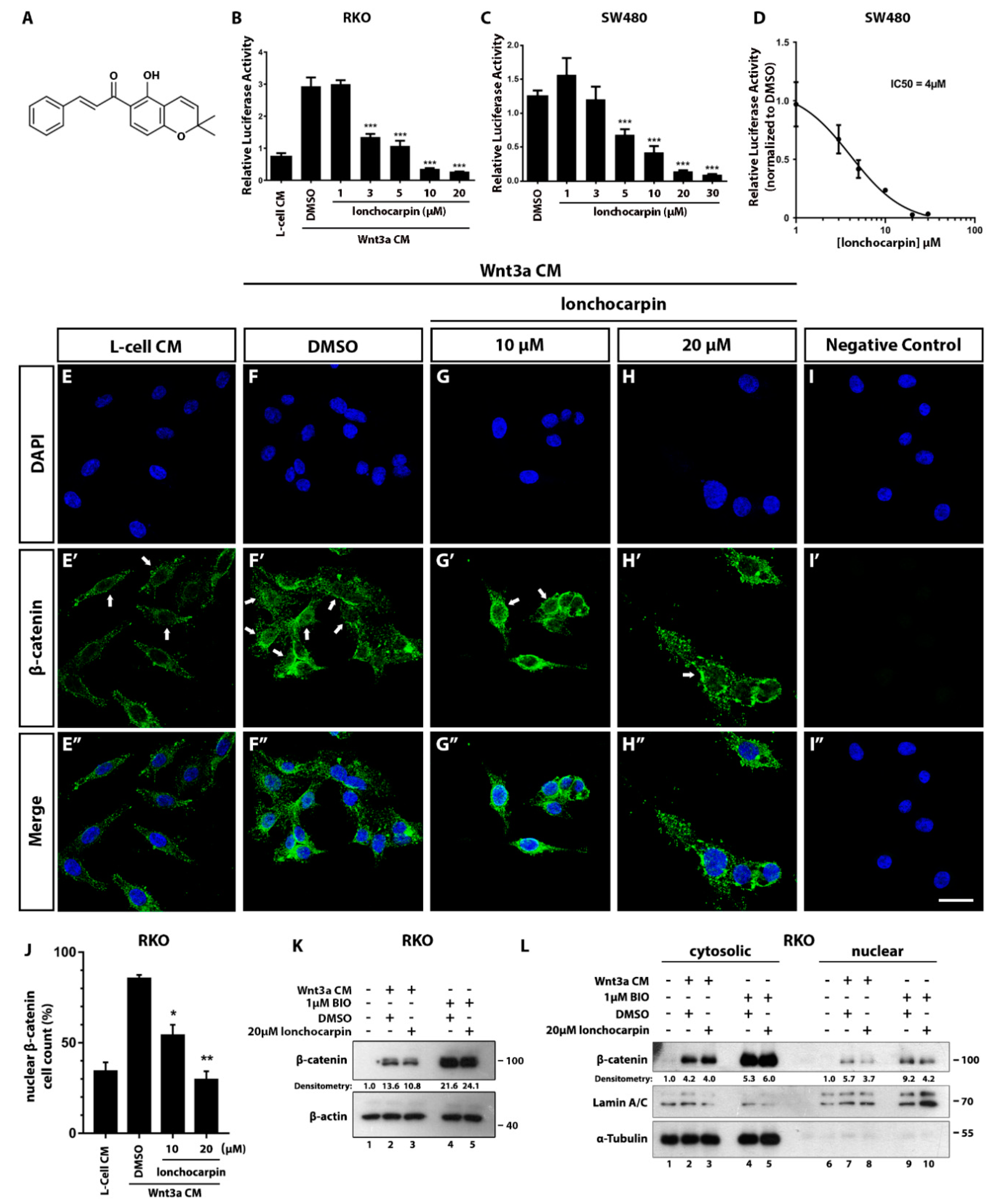 Cancers 11 01968 g001