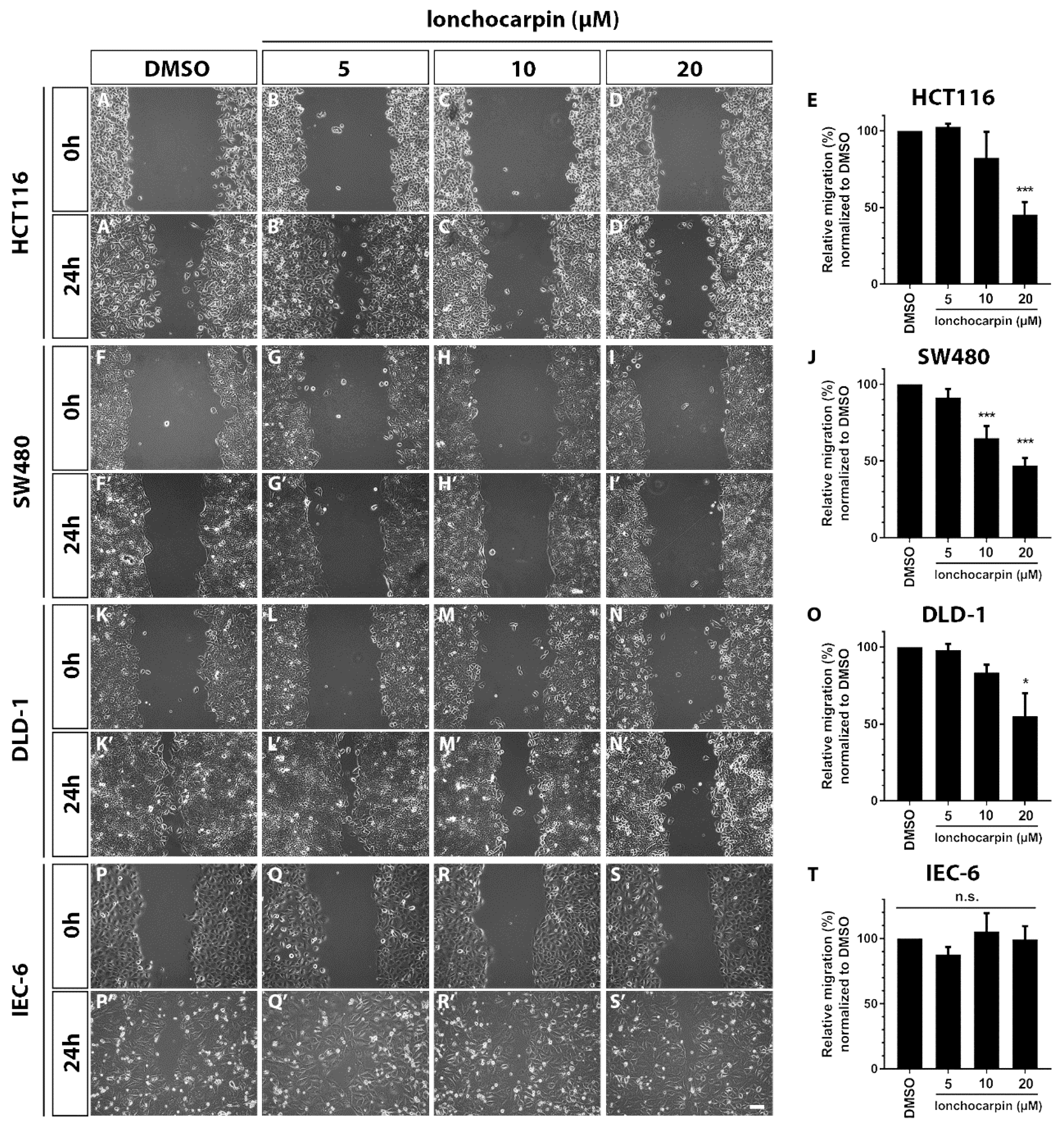 Cancers 11 01968 g005