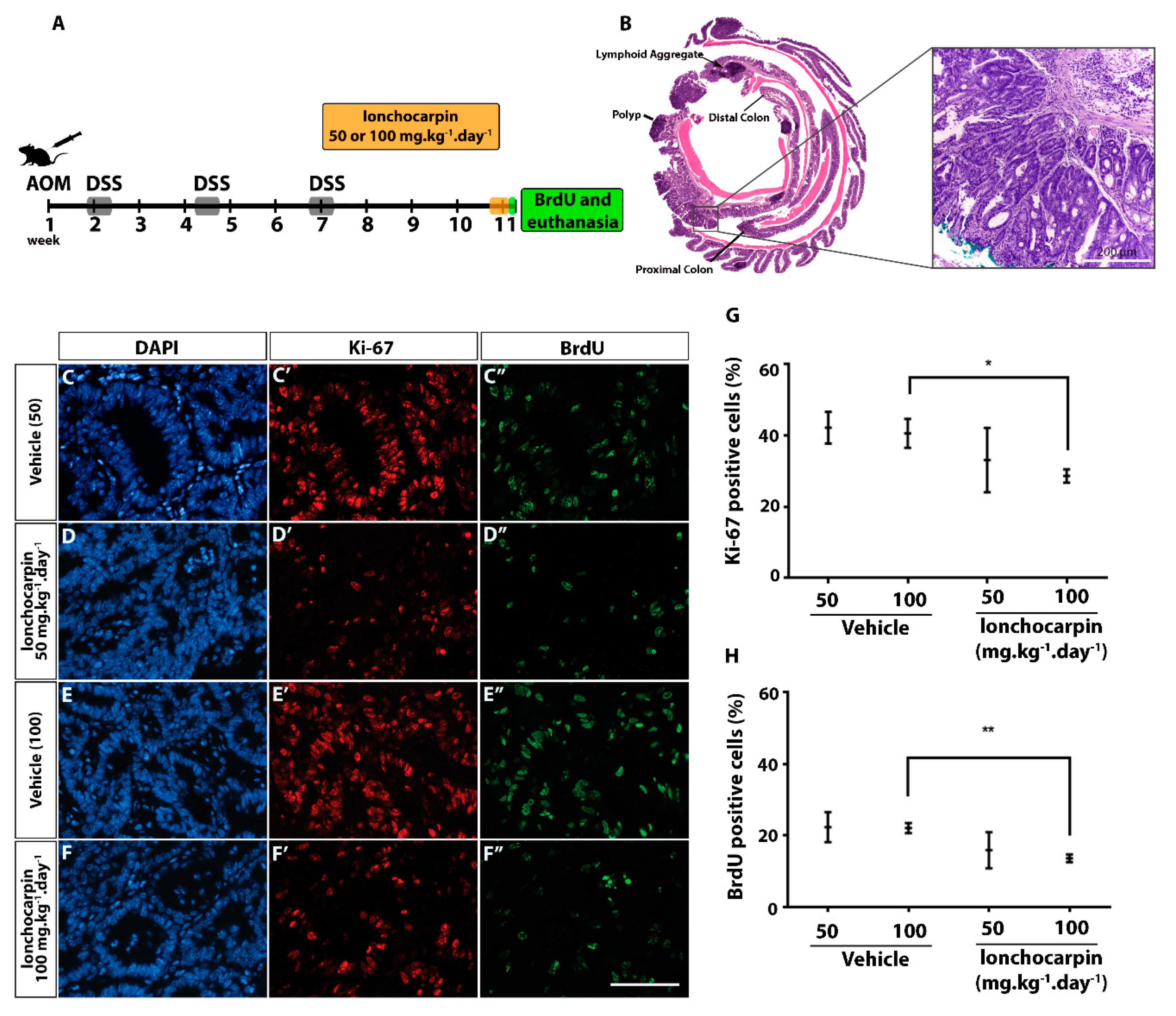 Cancers 11 01968 g006