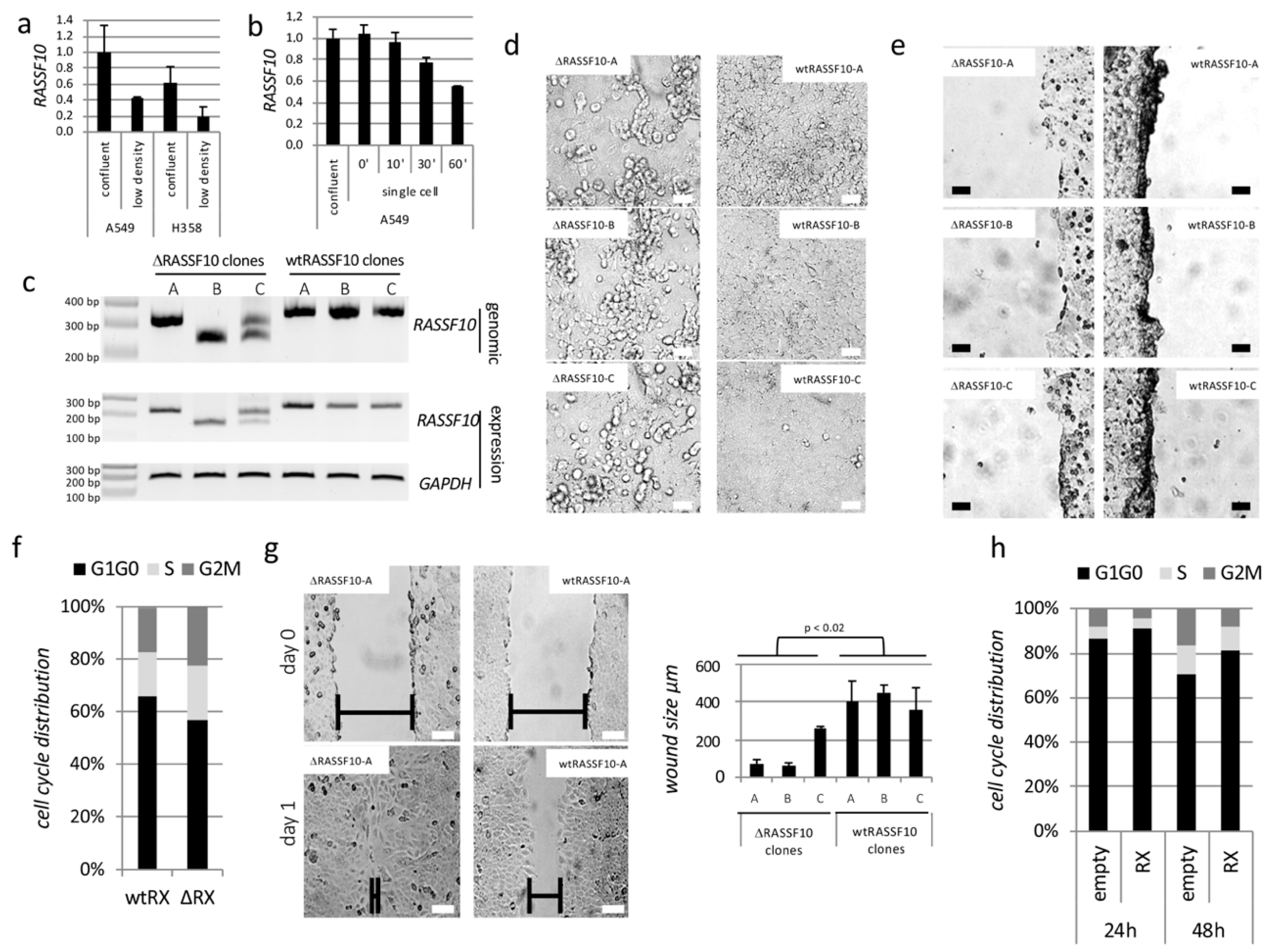 Cancers 11 01976 g001