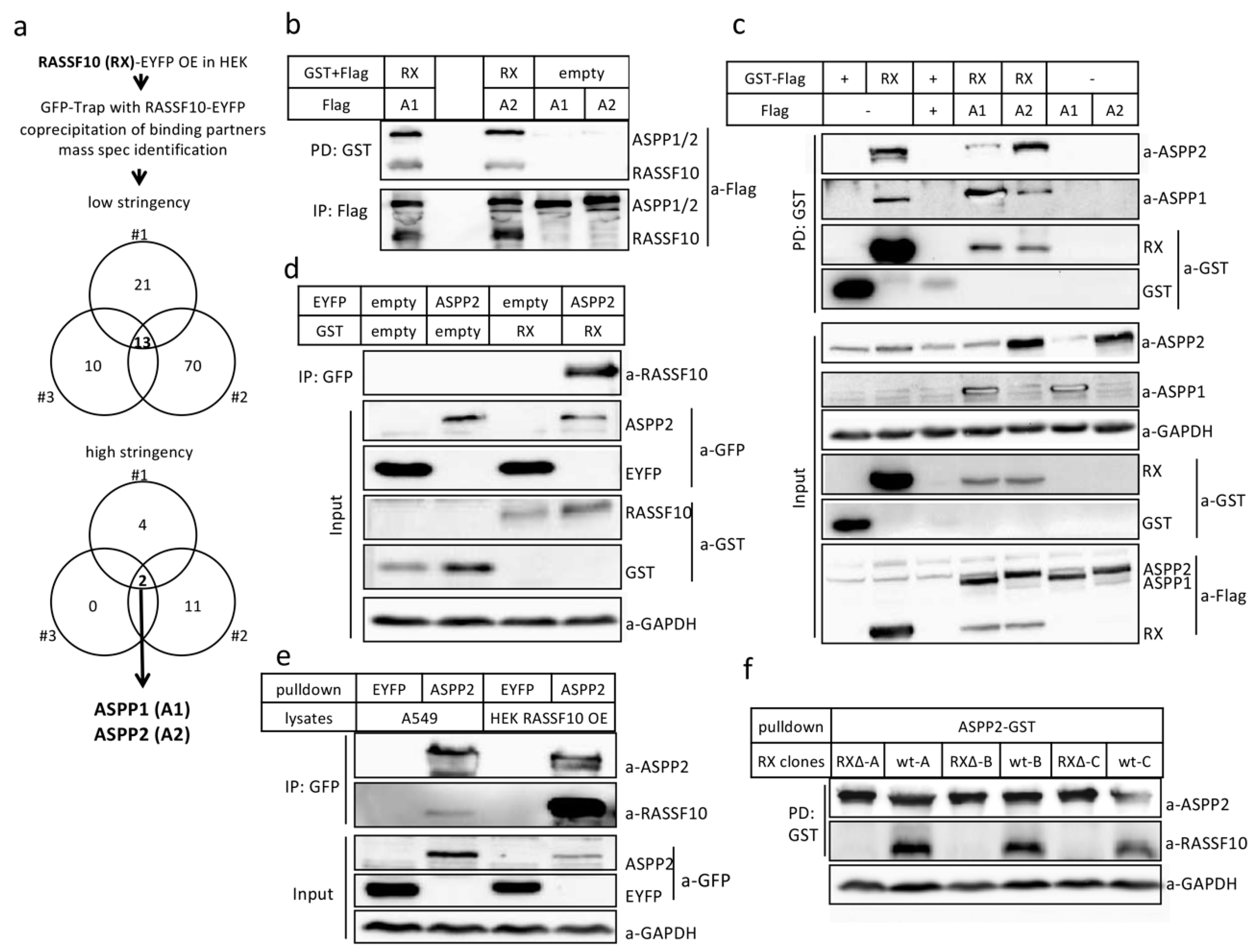 Cancers 11 01976 g004
