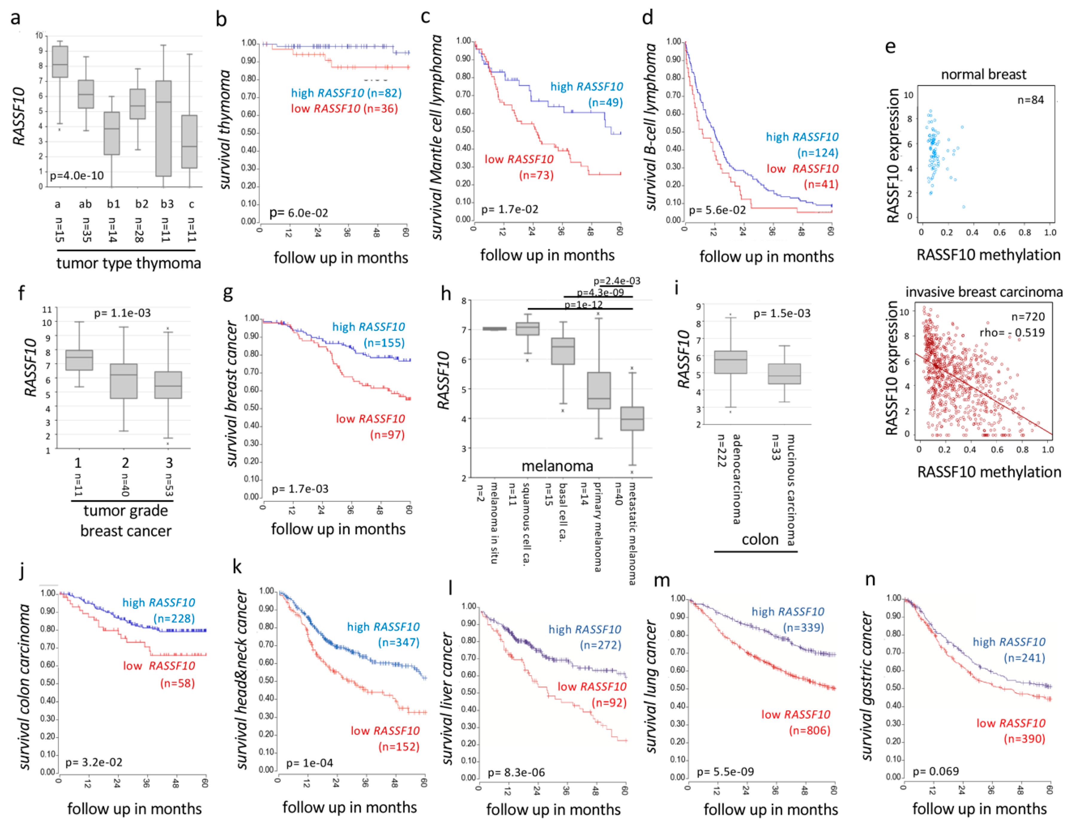 Cancers 11 01976 g008
