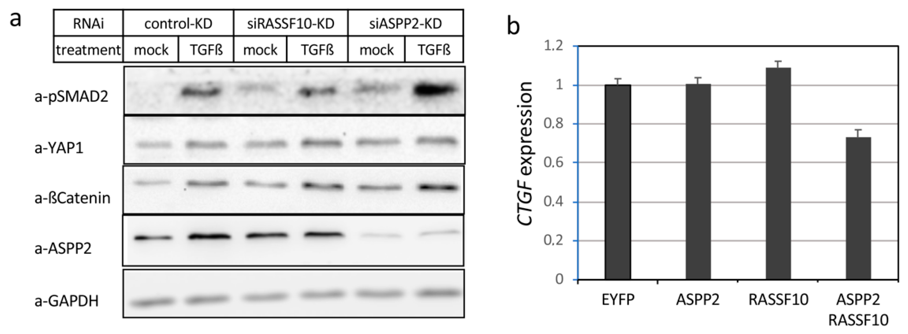 Cancers 11 01976 g009