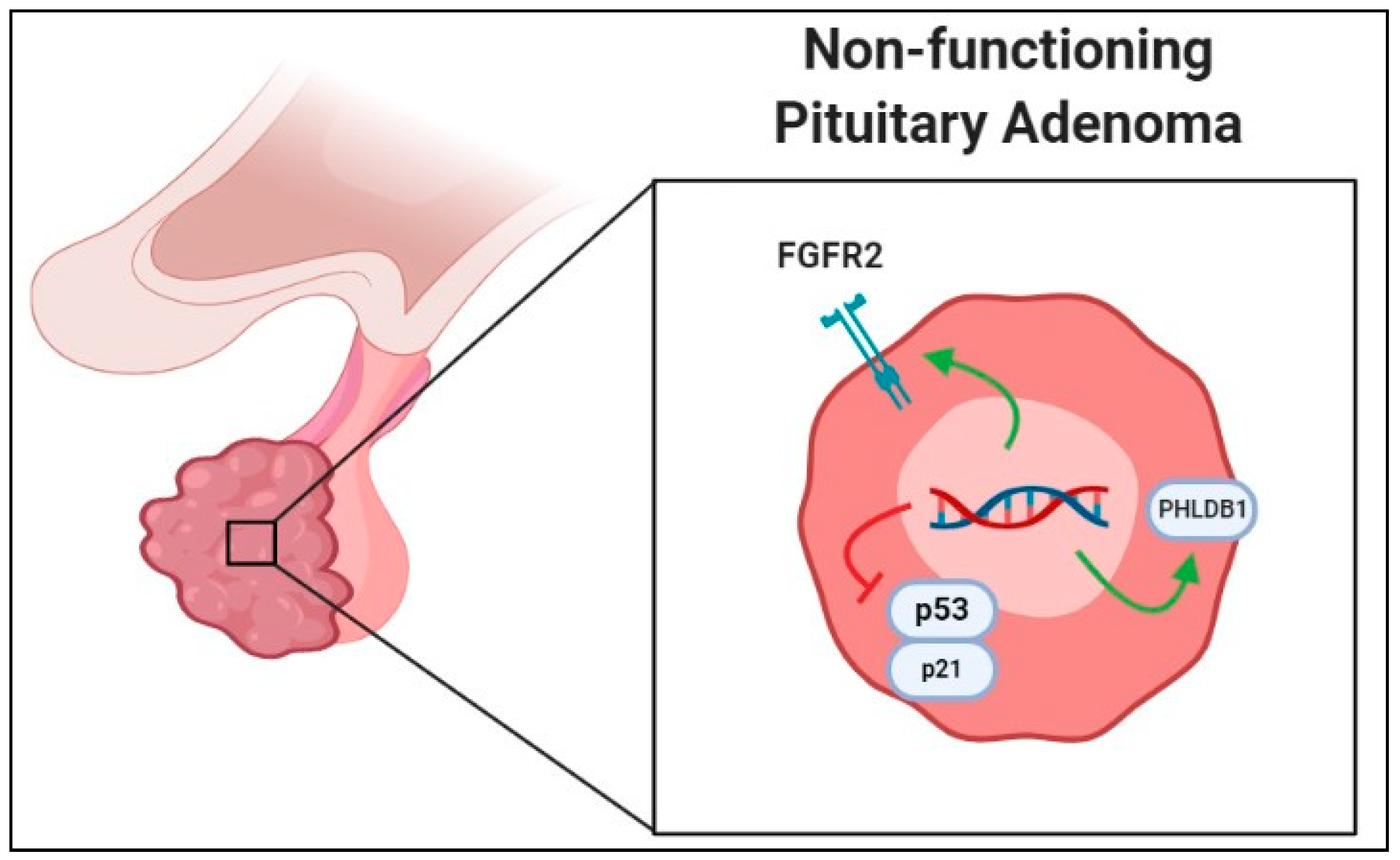 Cancers 11 01977 g001