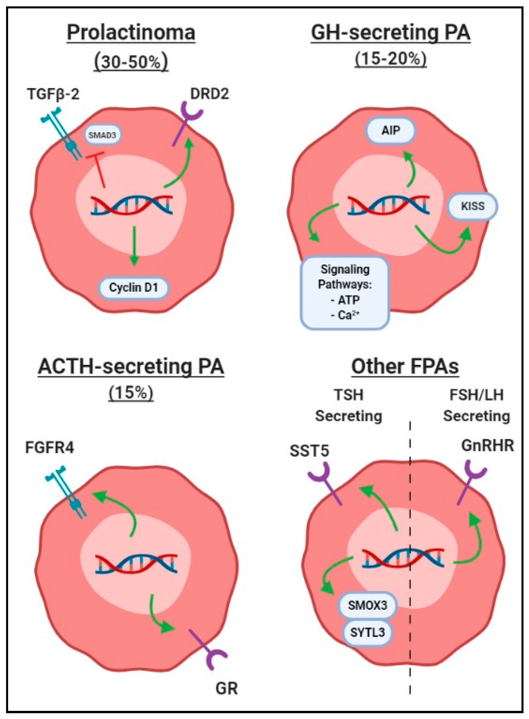 Cancers 11 01977 g002