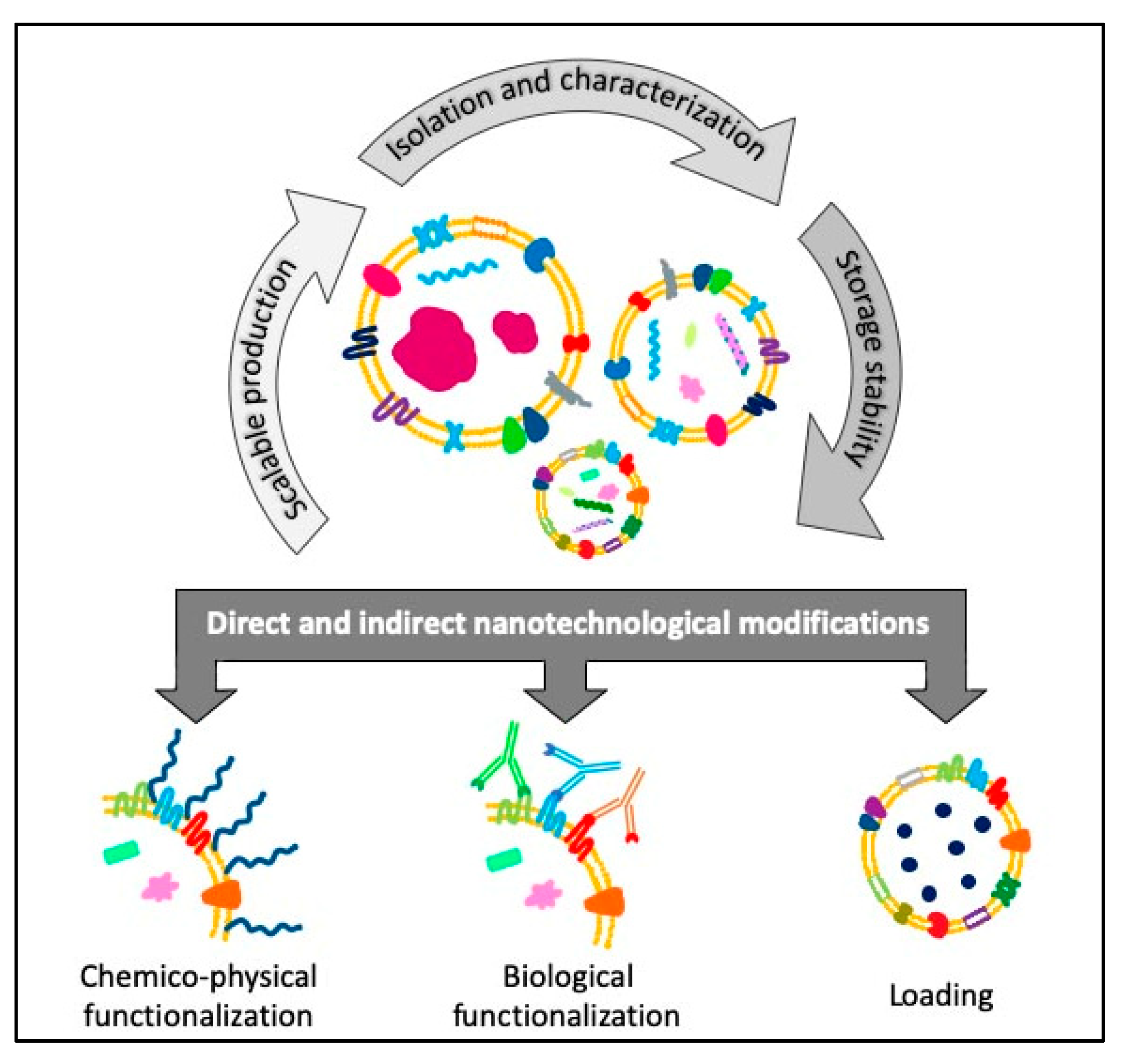 Cancers 11 01979 g002