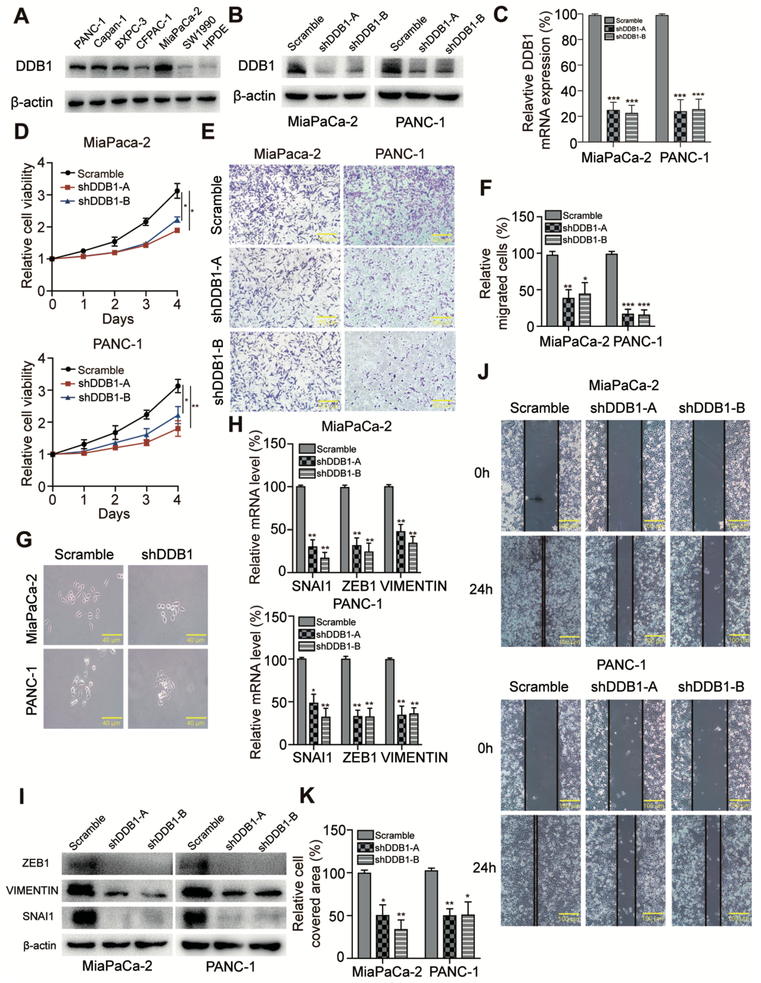 Cancers 11 01998 g002 Cancers 11 01998 g002