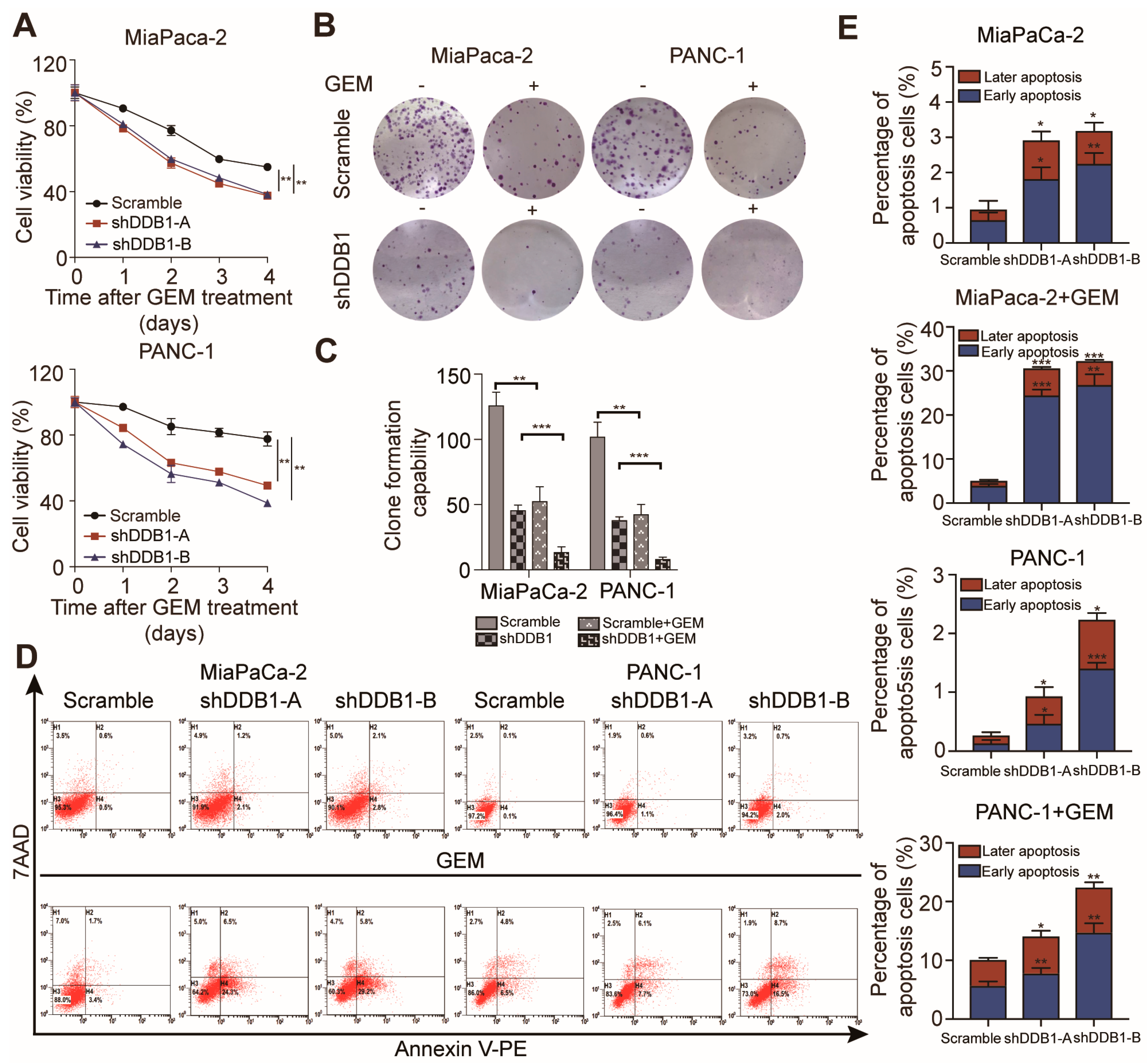 Cancers 11 01998 g003 Cancers 11 01998 g003