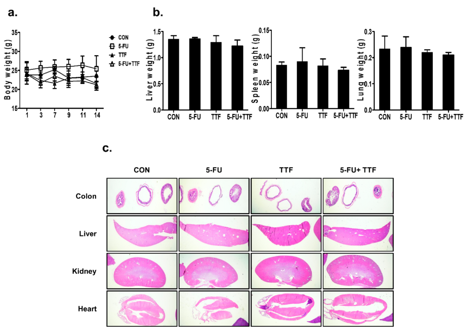 Cancers 11 01999 g002