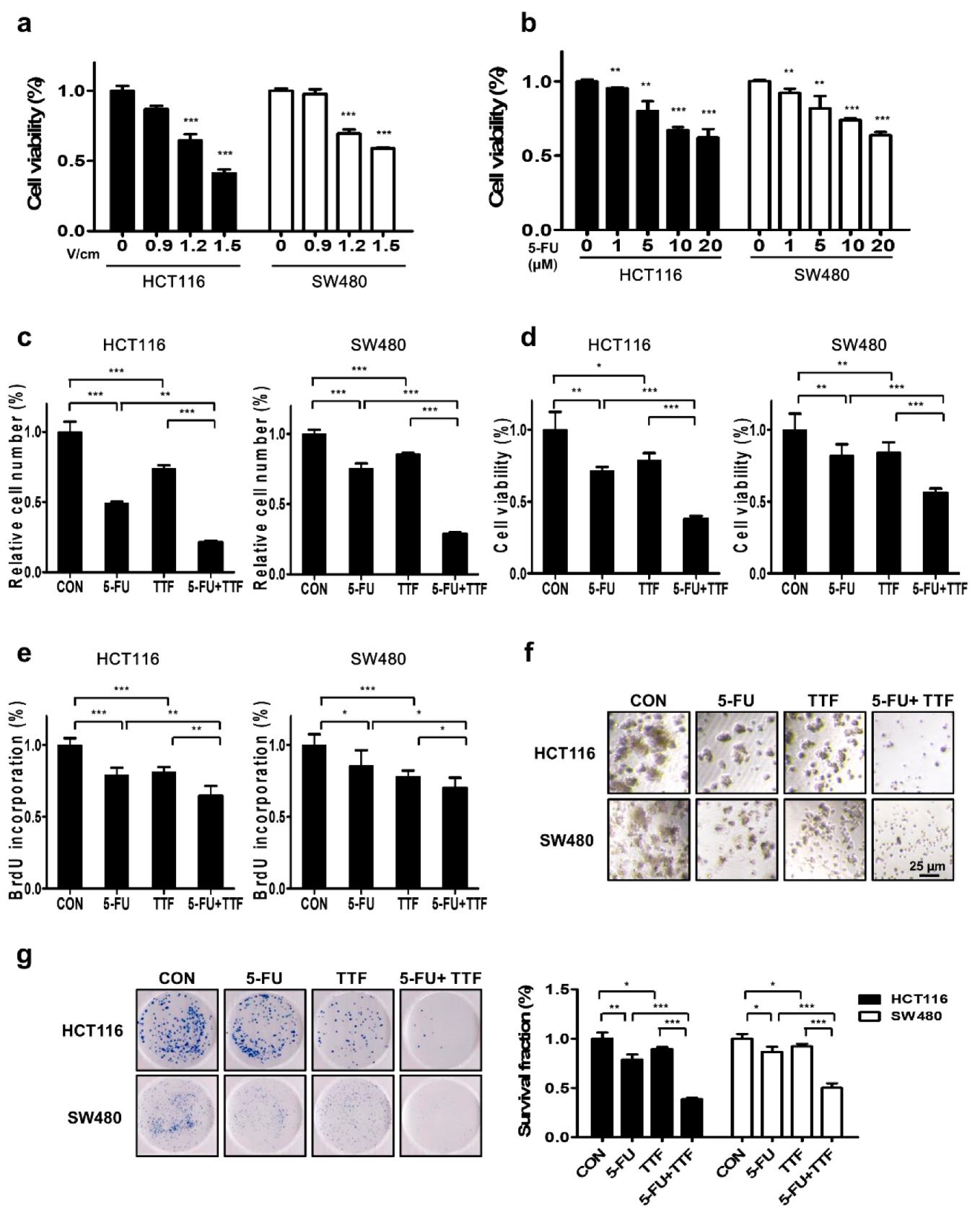 Cancers 11 01999 g003