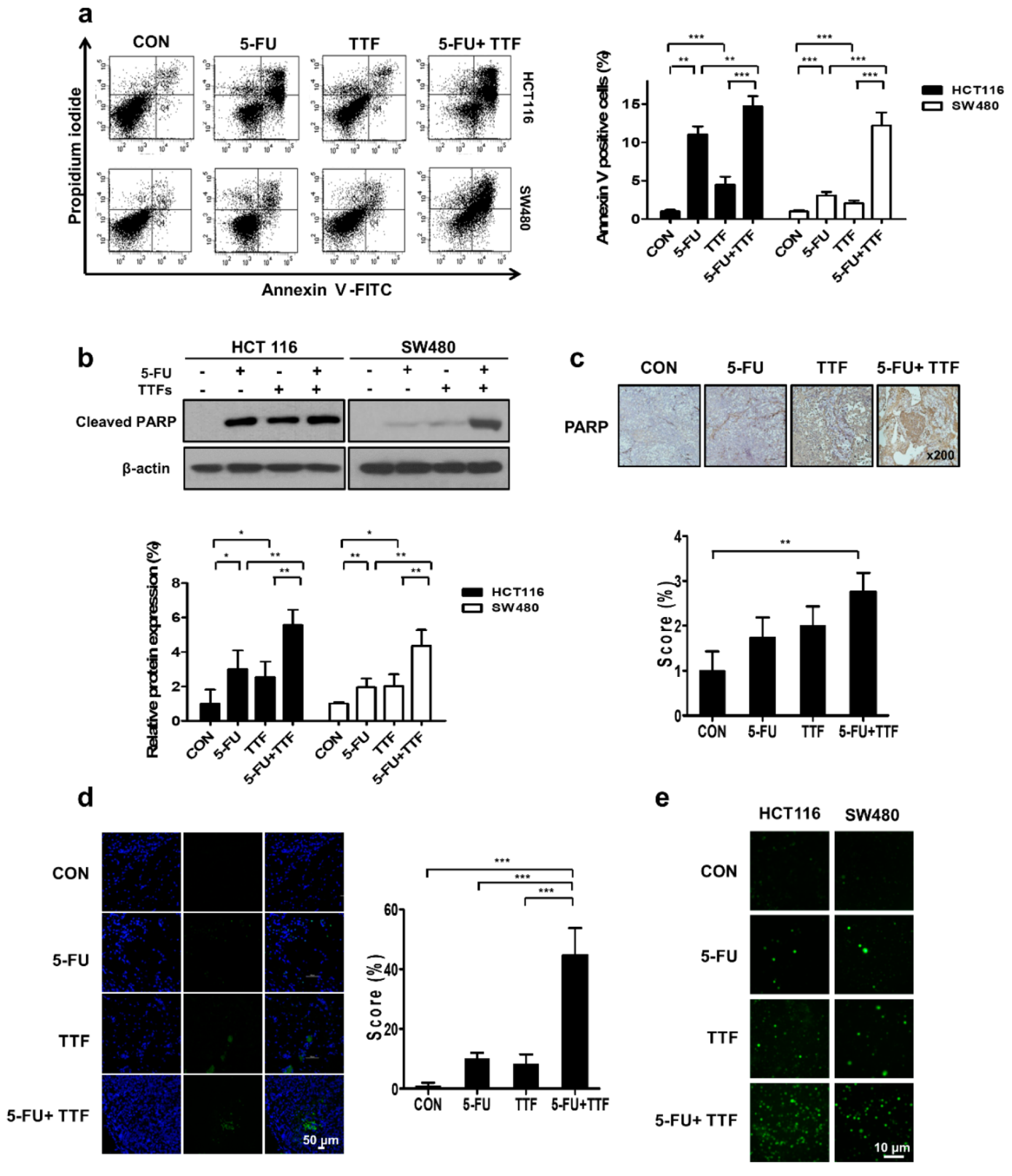 Cancers 11 01999 g004